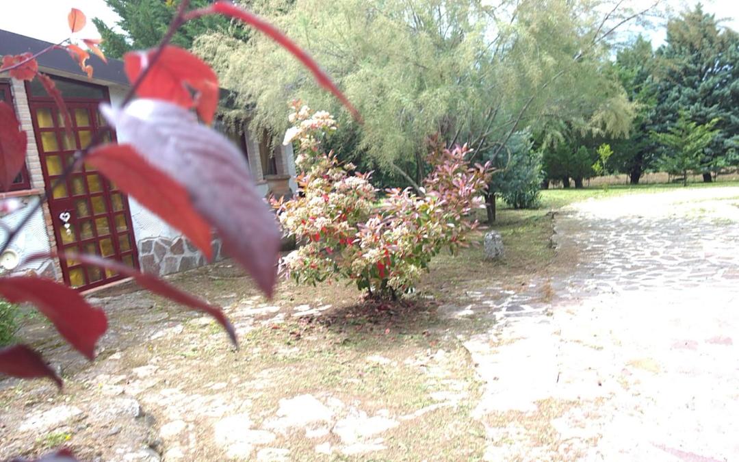 other
