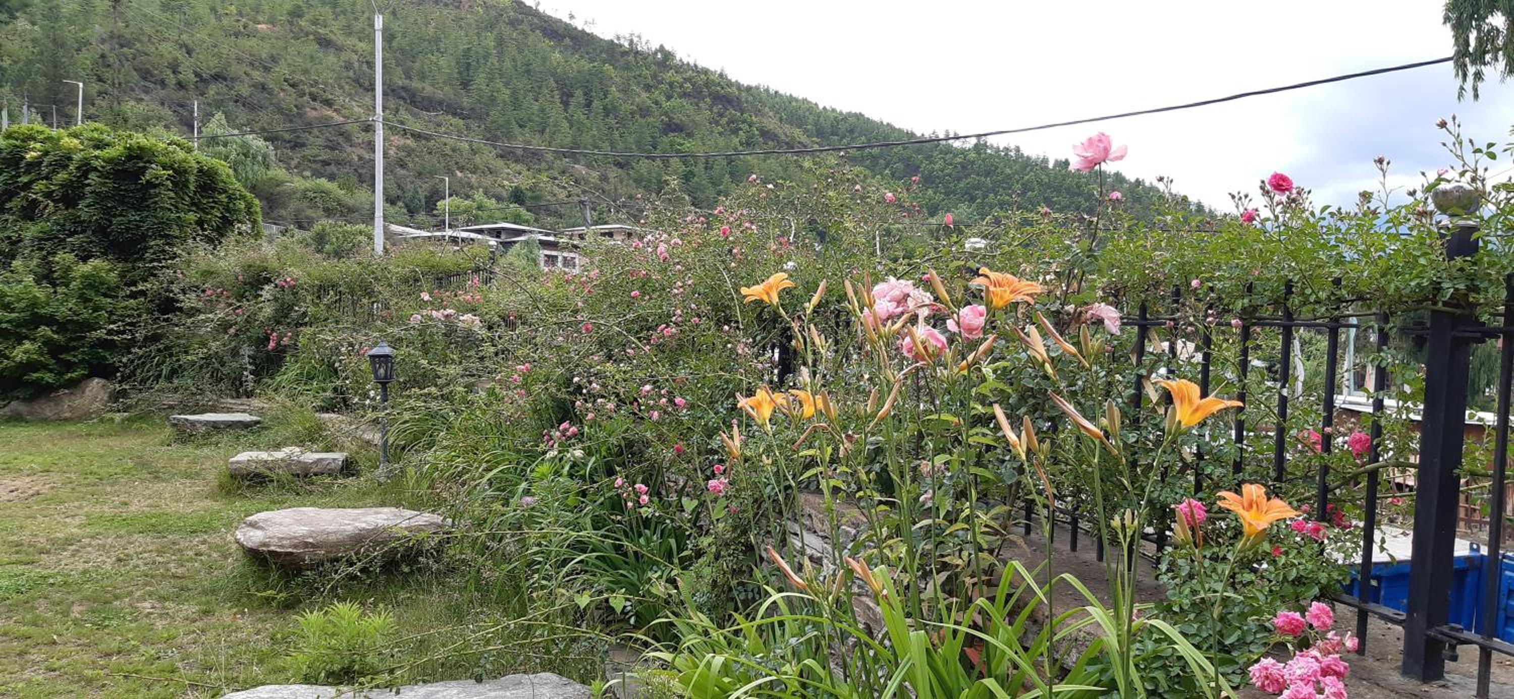 Kisa Villa
