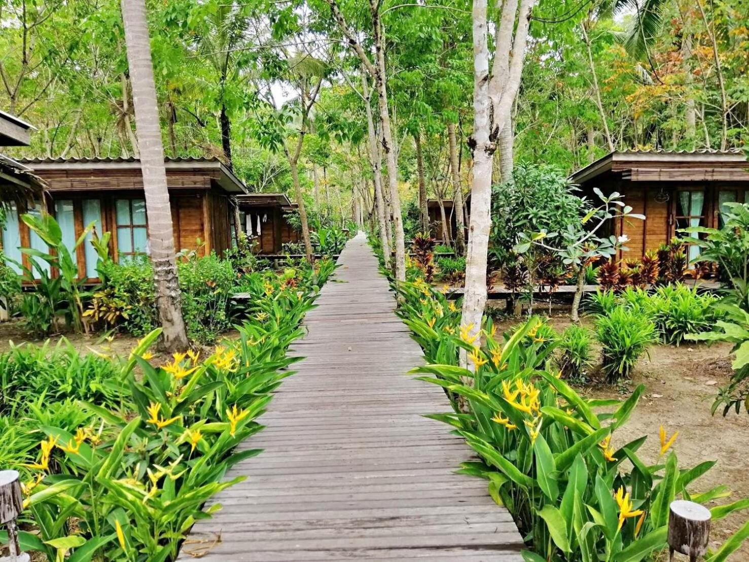 Jungle Koh Kood Resort