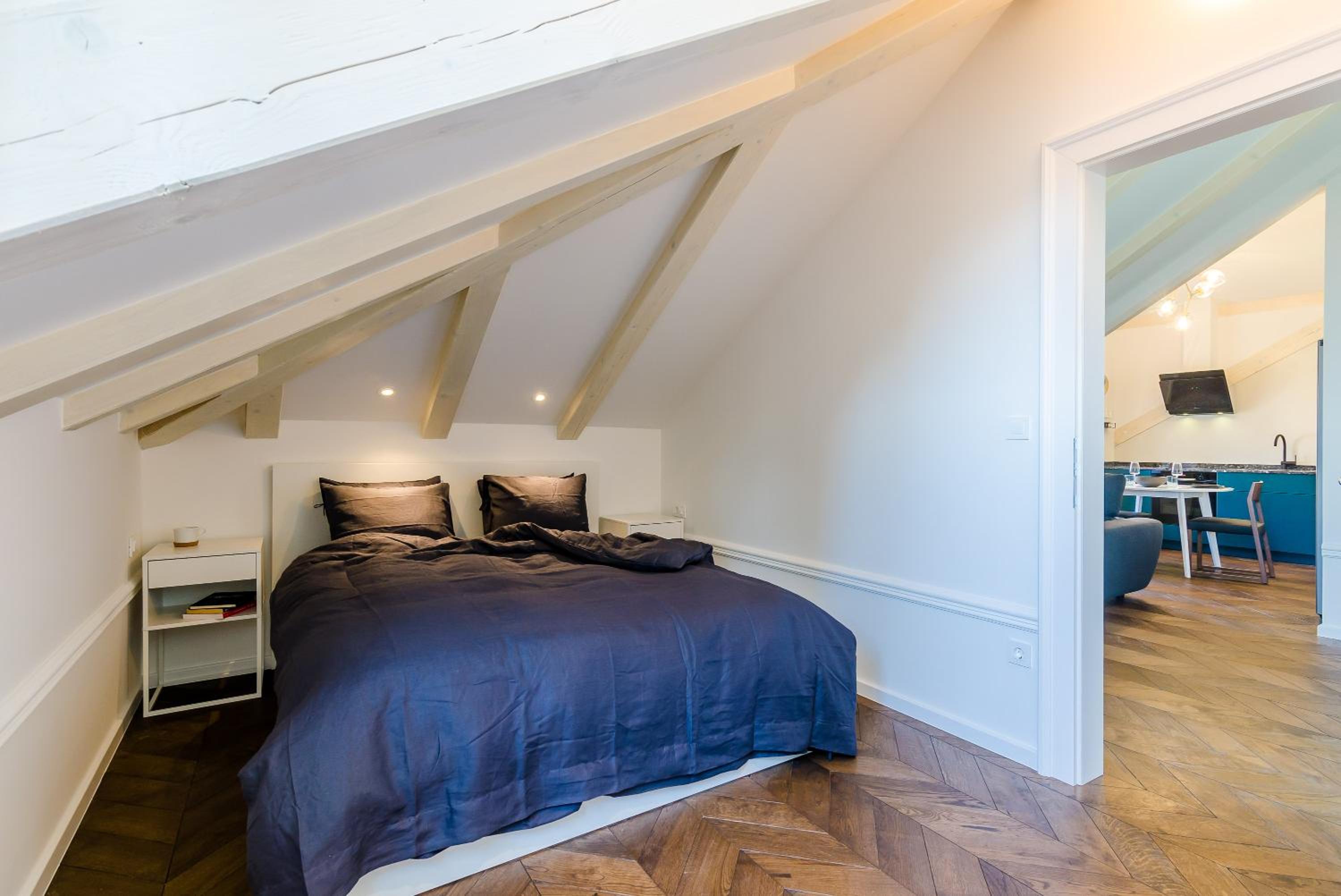 Villa Roma Dubrovnik Historic Apartments near Old Town