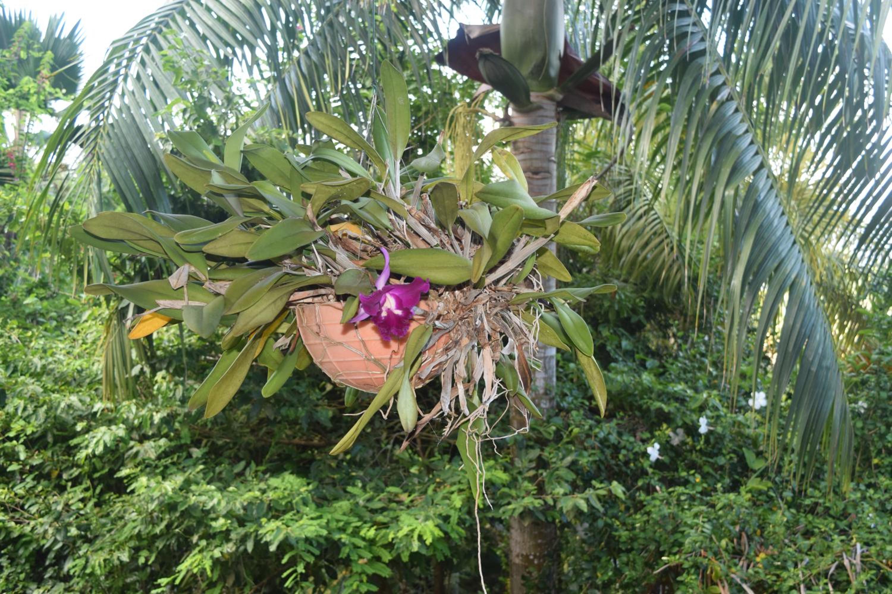 Photo 11