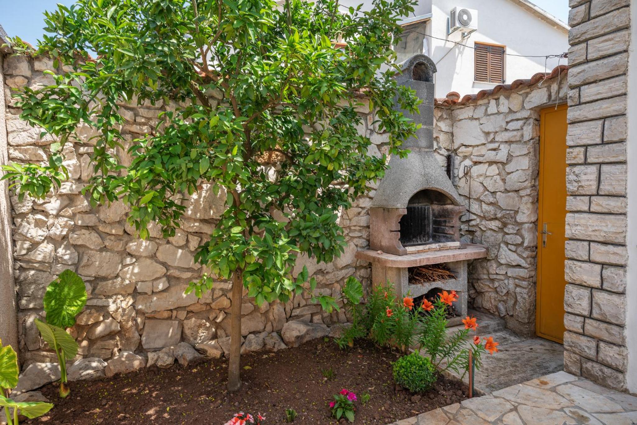 Photo 12
