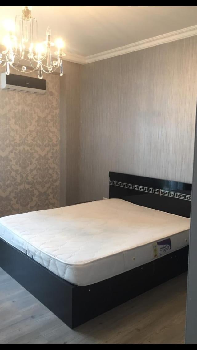David Apartment