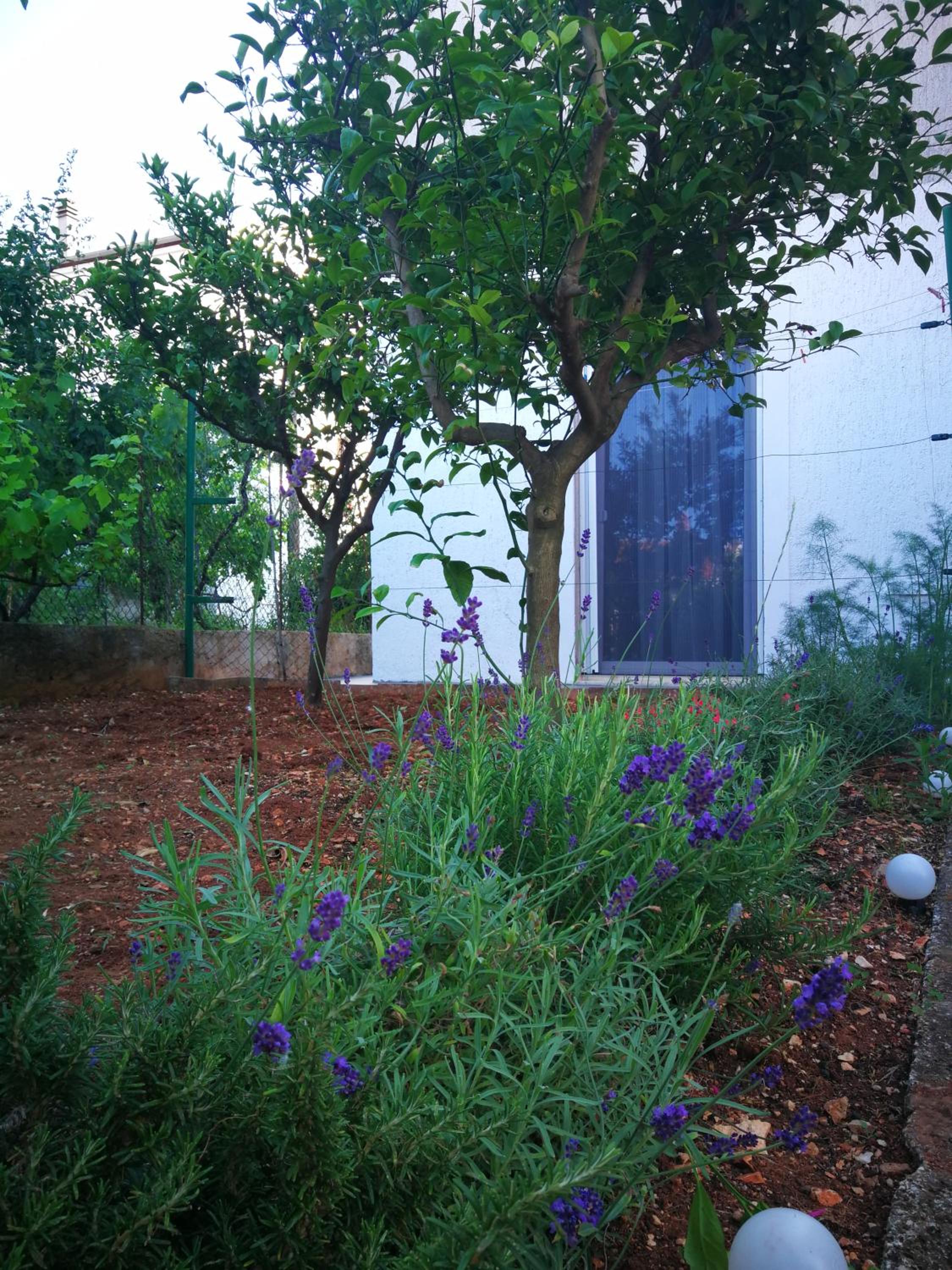 Griva Apartmani Zadar