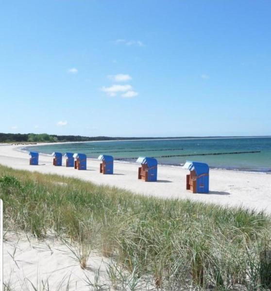 Ferienapartment Wiese & Meer auf Rügen