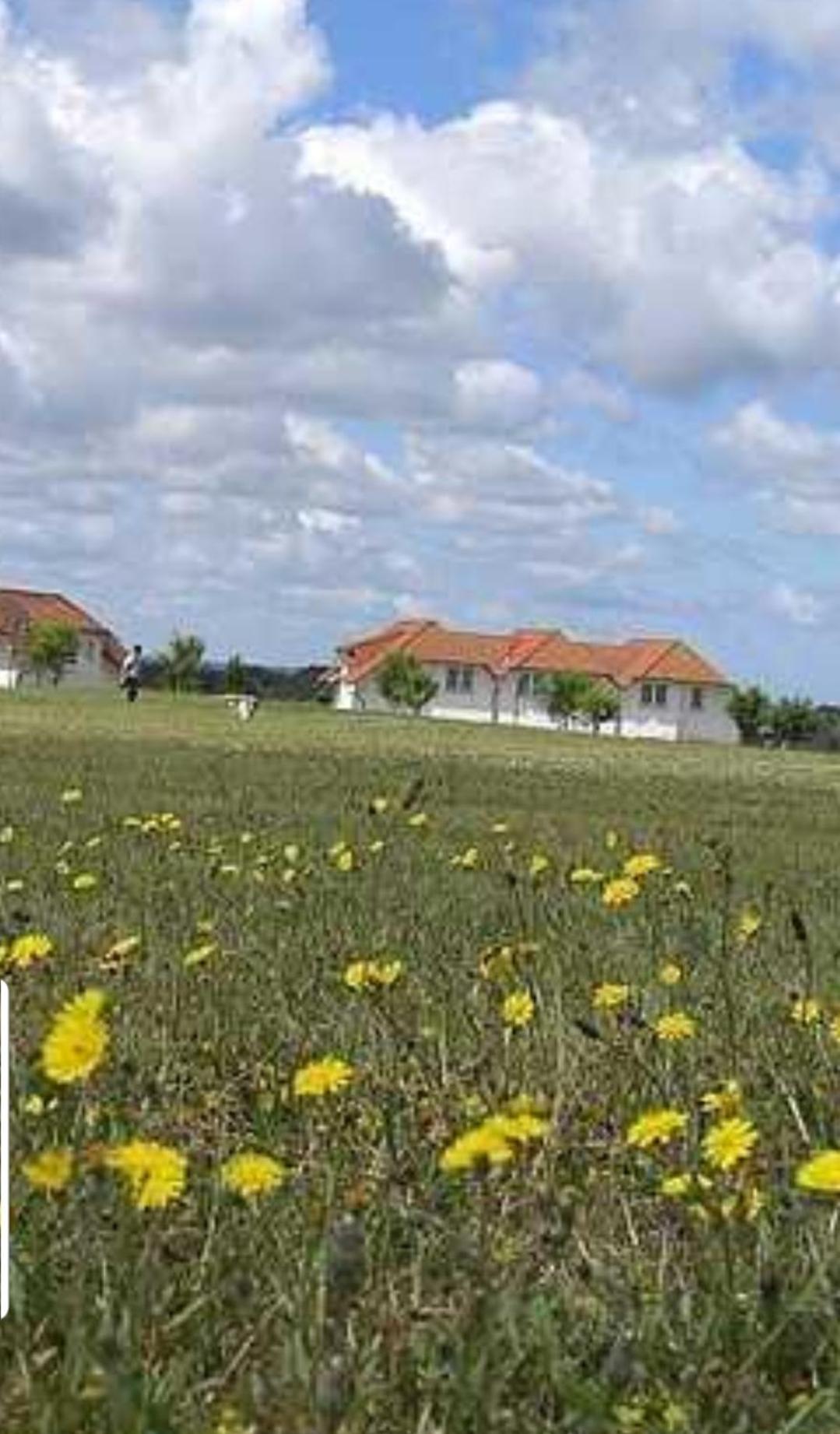 Ferienapartment Wiese & Meer auf Rügen