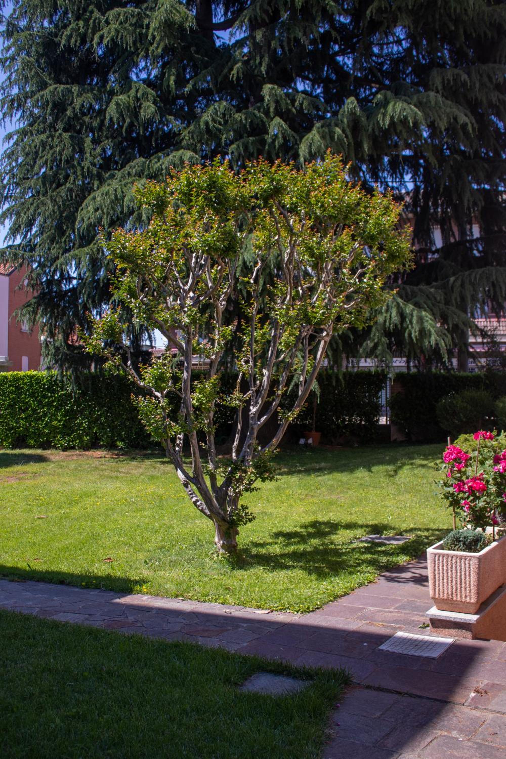 Villa le Rondini