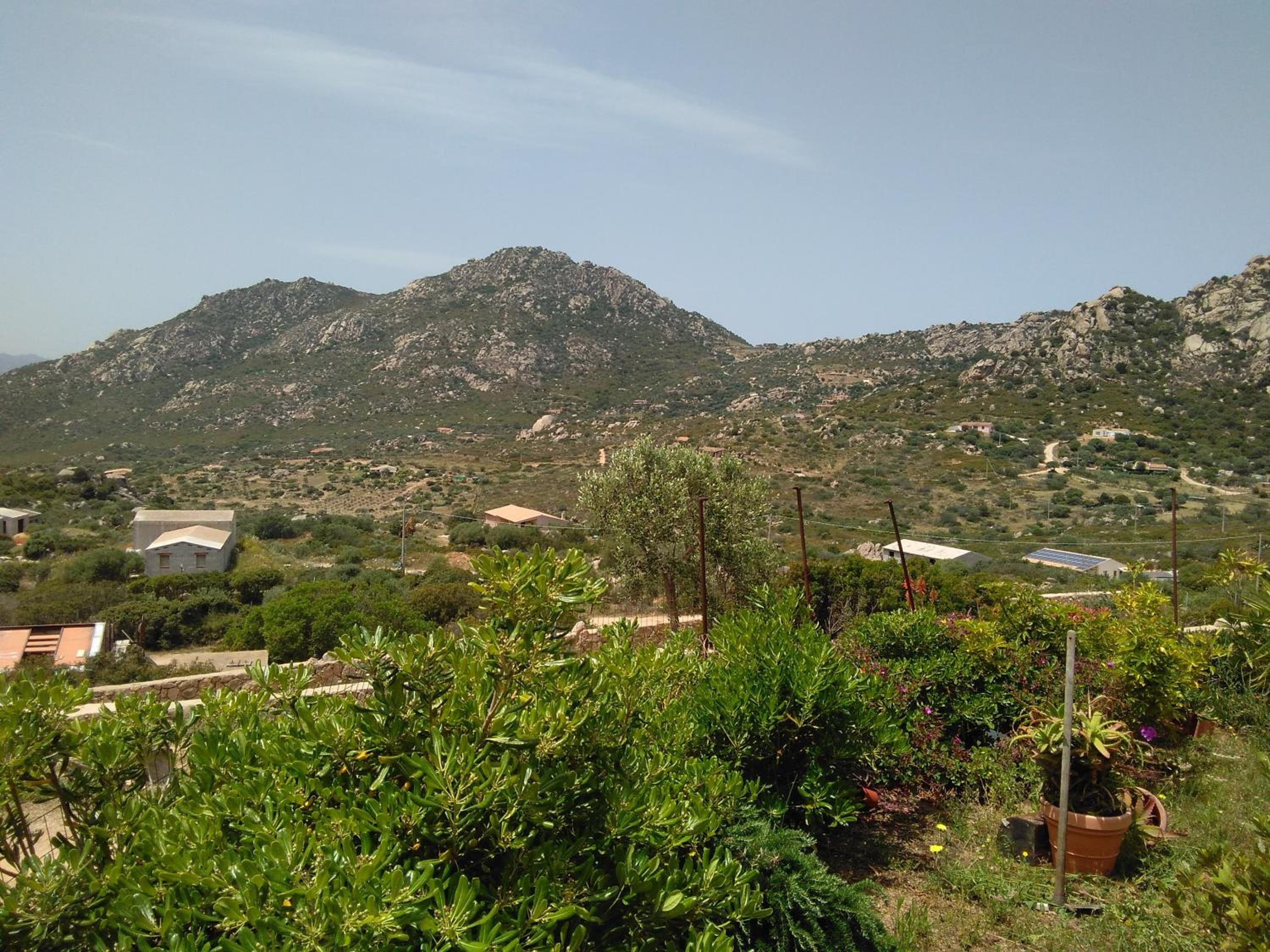 Photo 40