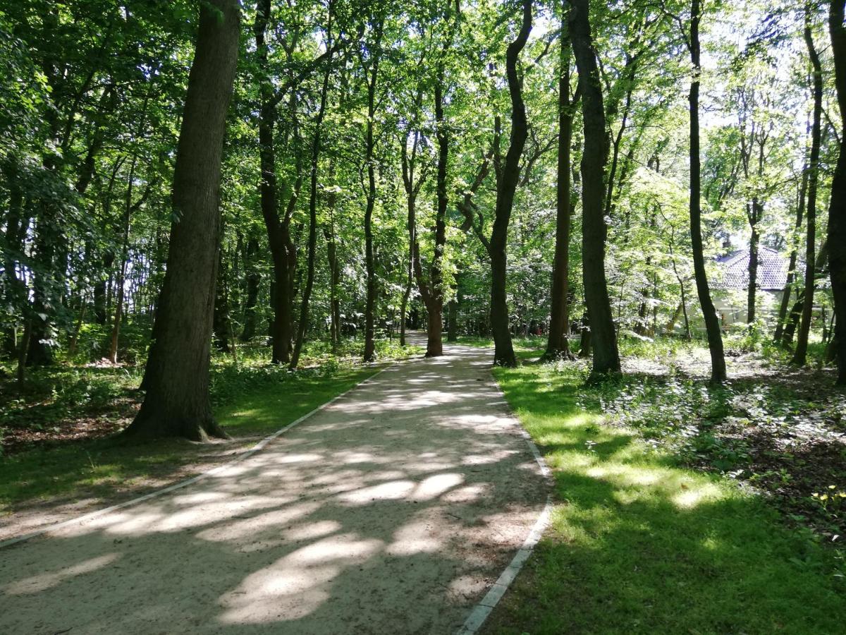 Apartamenty Kapitańskie Bliżej Morza view 4