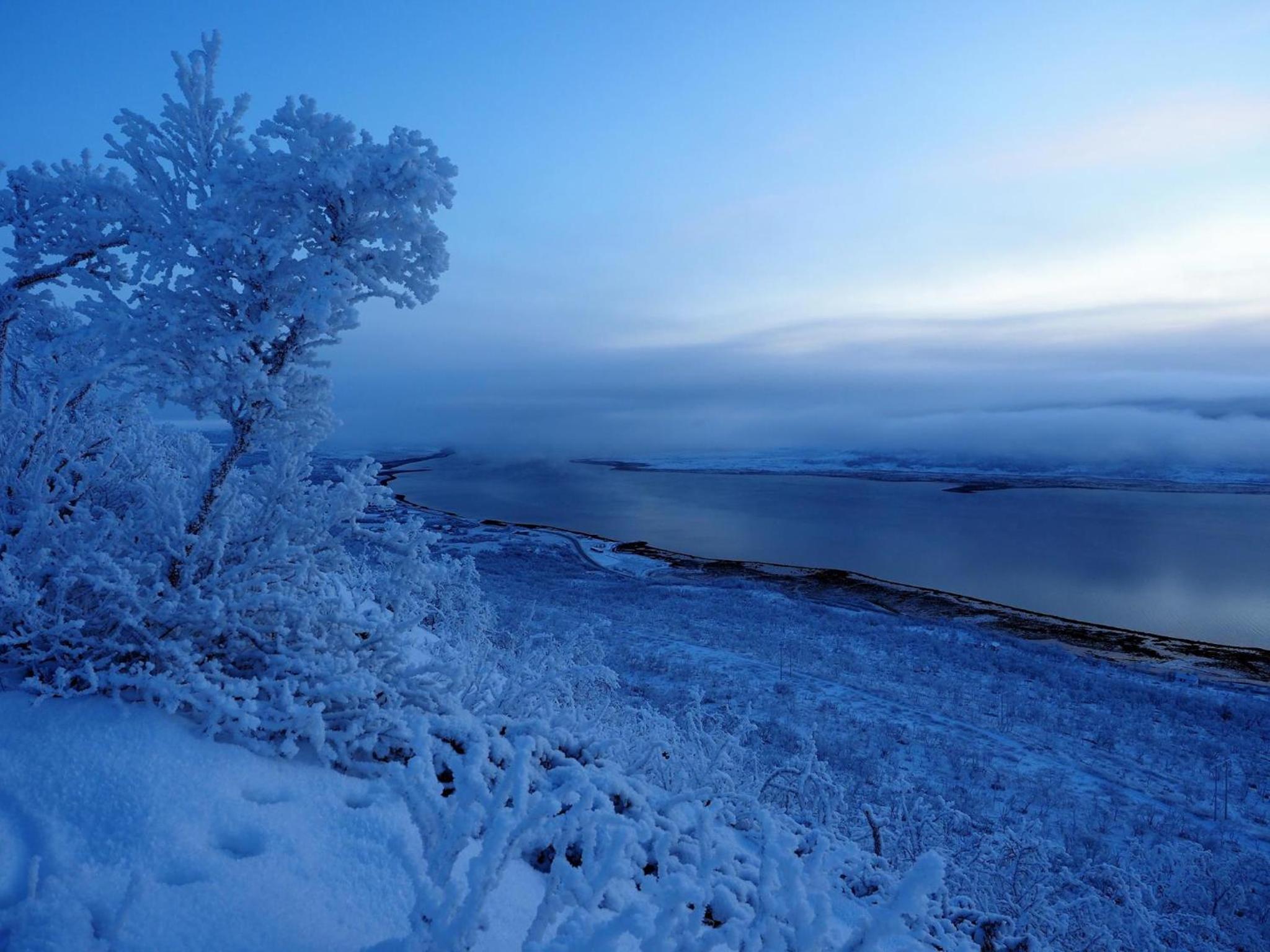 Varangertunet bed & breakfast view 5