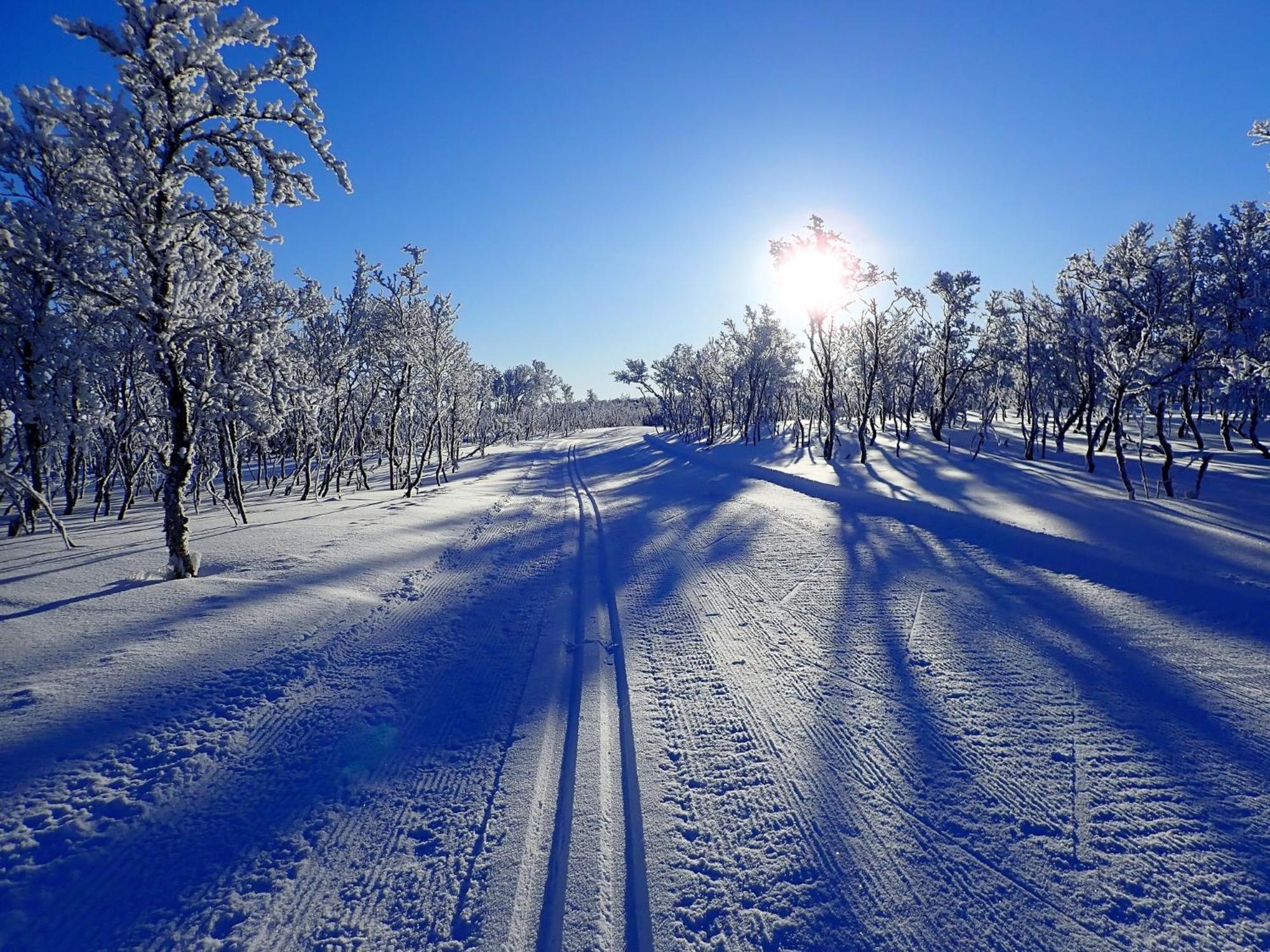 Varangertunet bed & breakfast view 3
