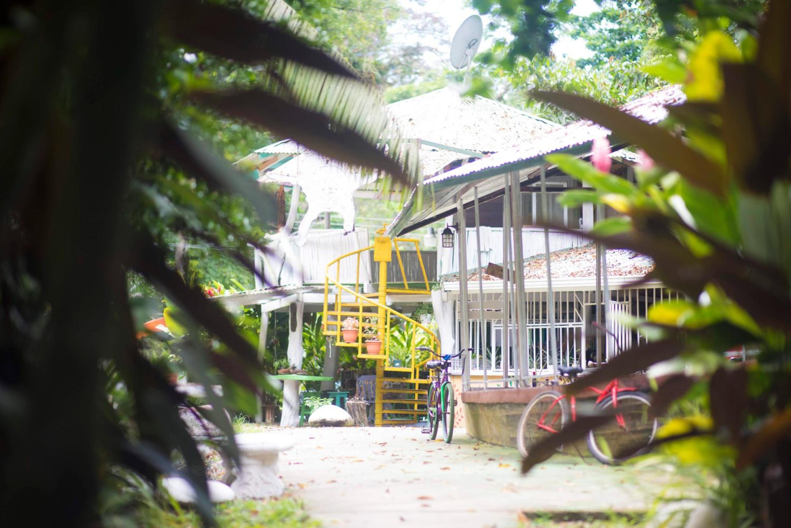 Madre Selva Hostel