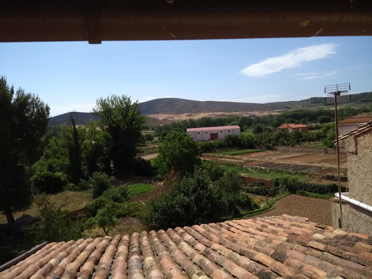 VEN GAVINO photo 4