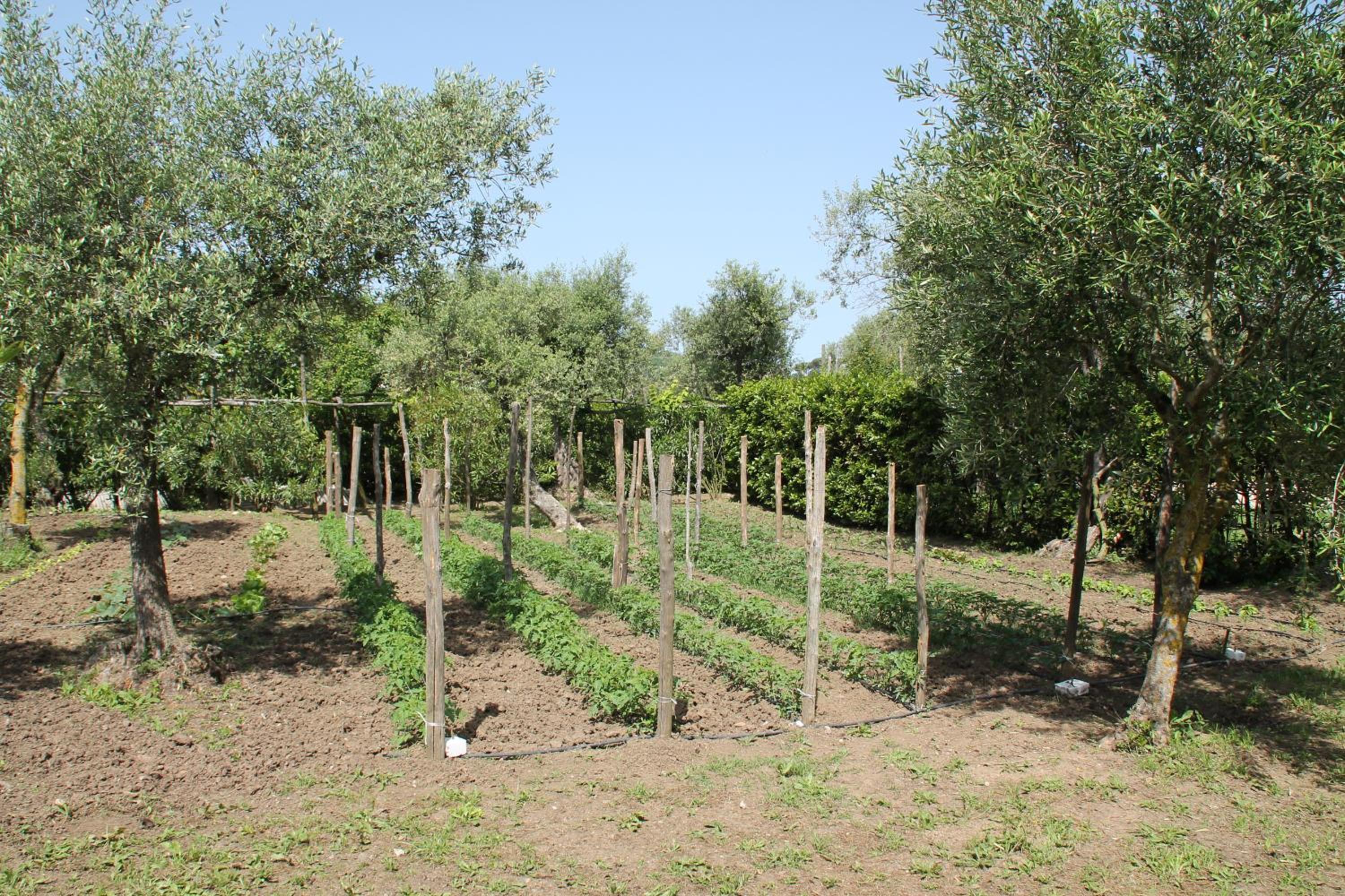 Agriturismo Piccolo Paradiso