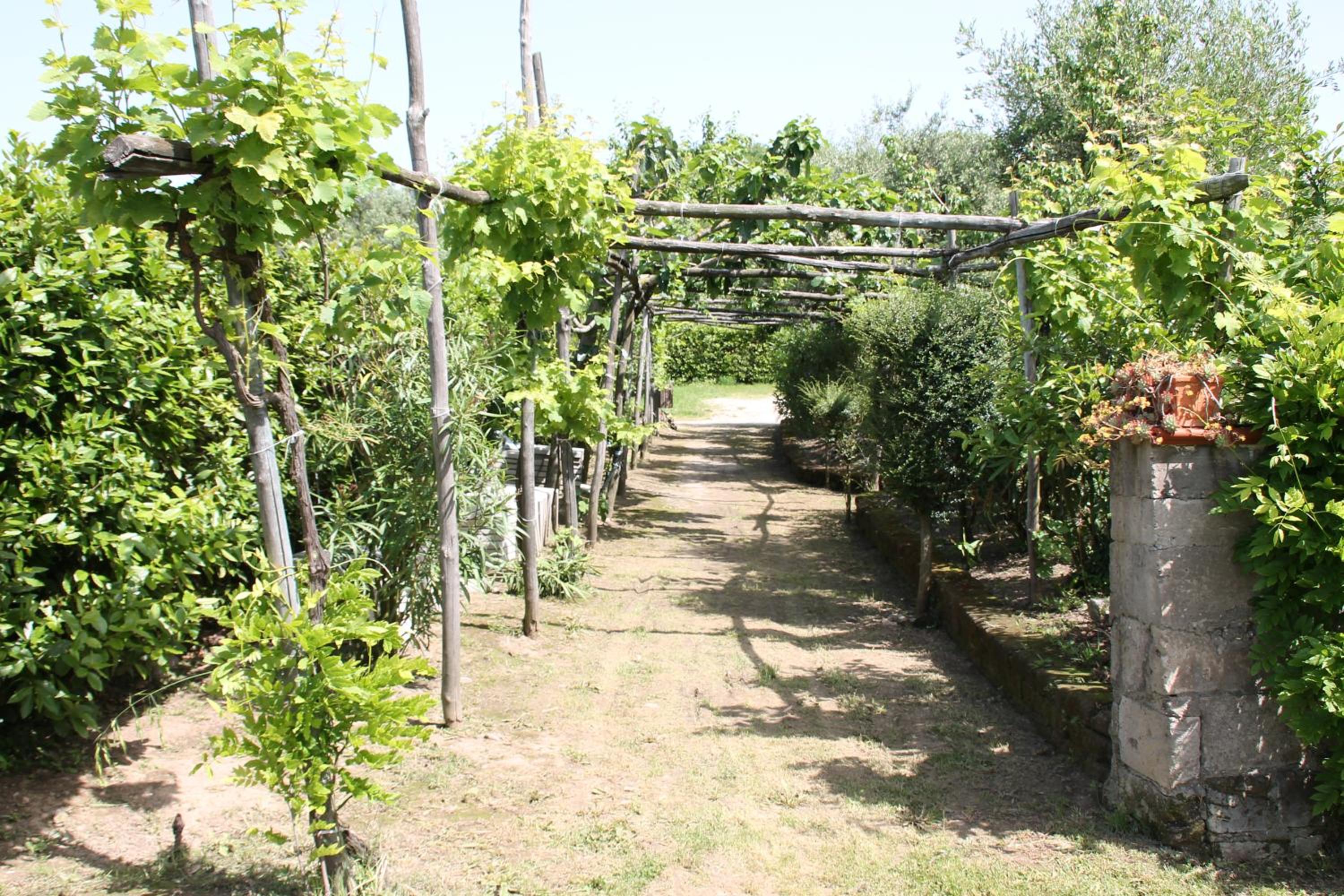 Agriturismo Piccolo Paradiso