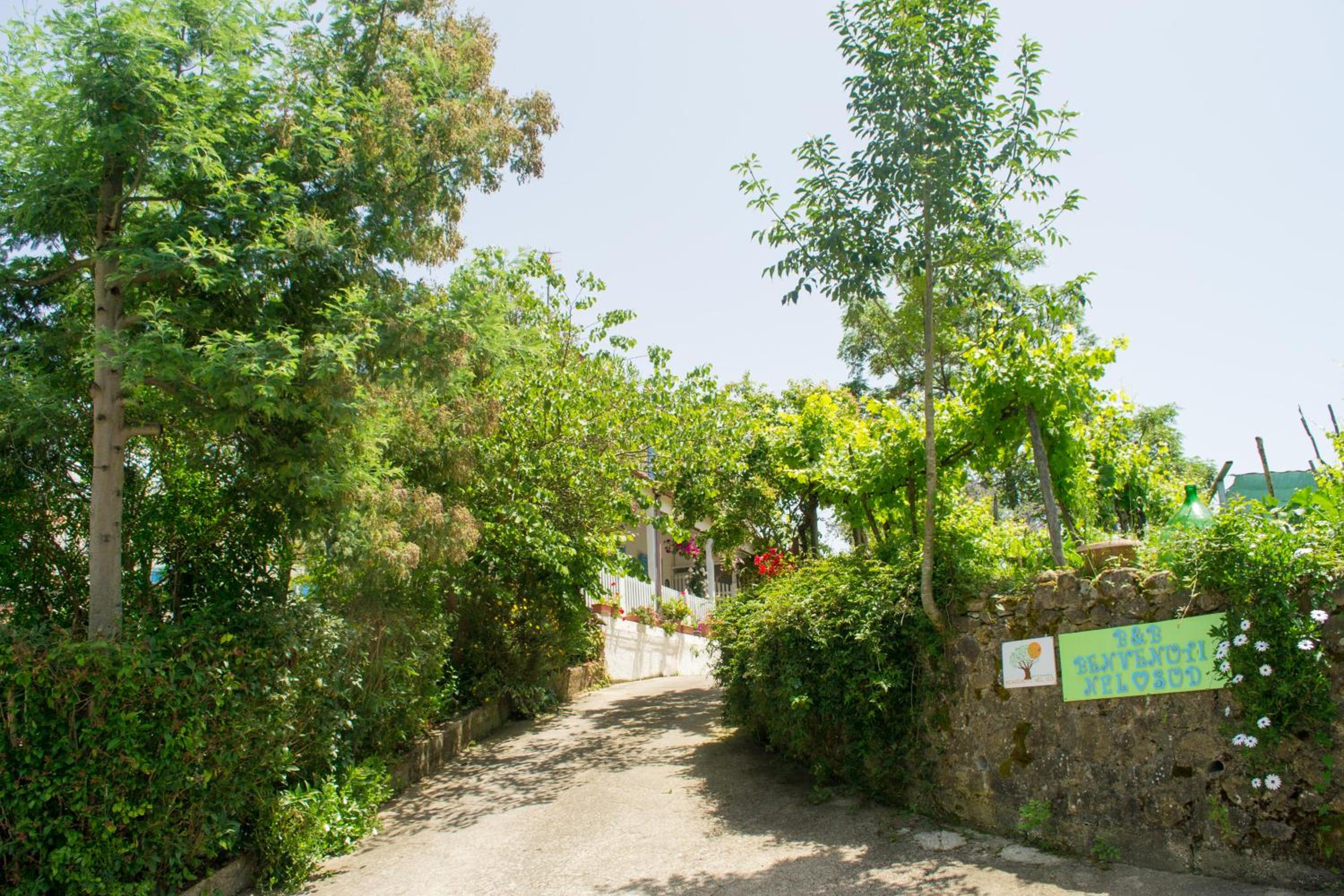 Benvenuti Nel Sud