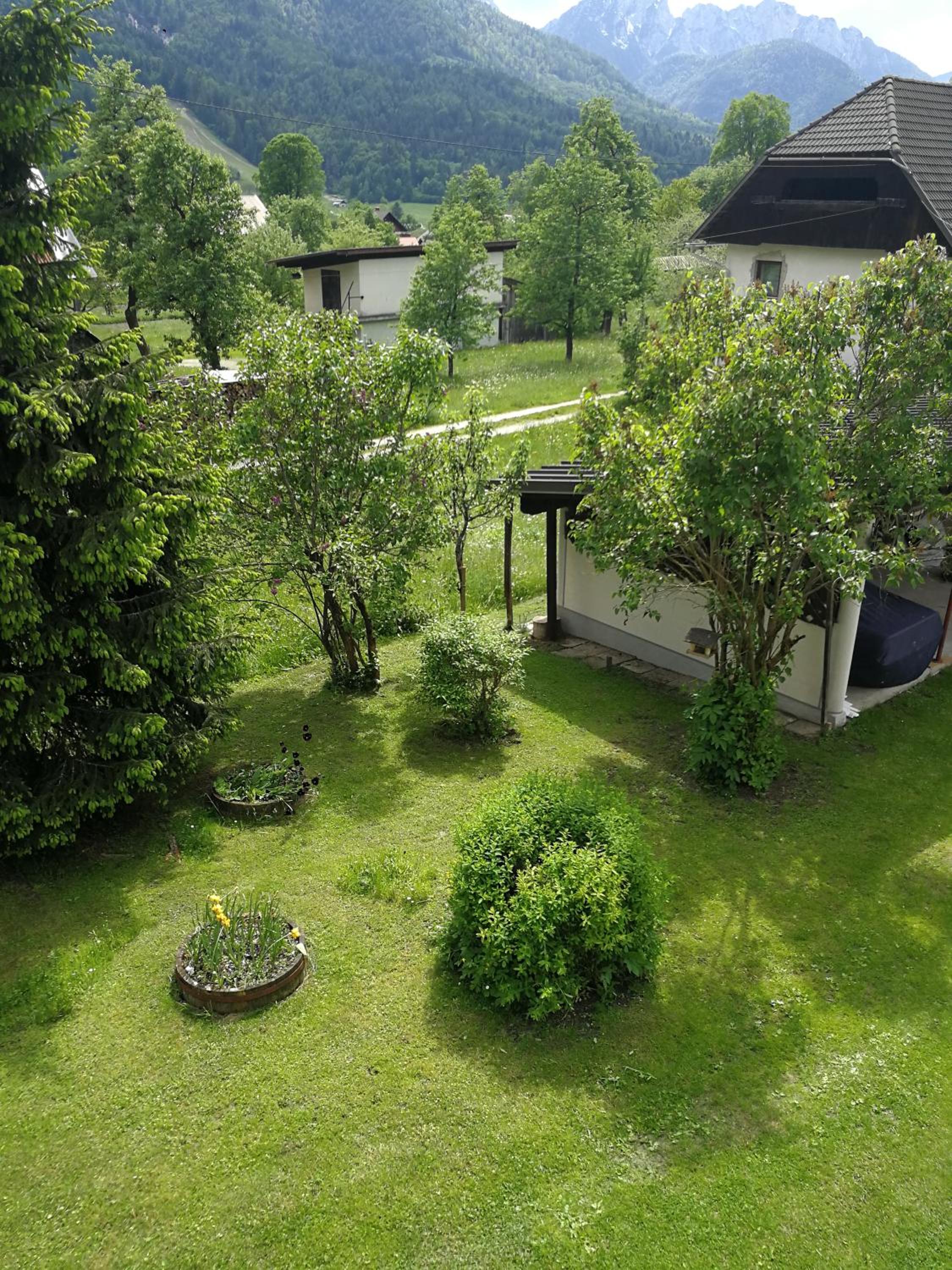 Photo 44