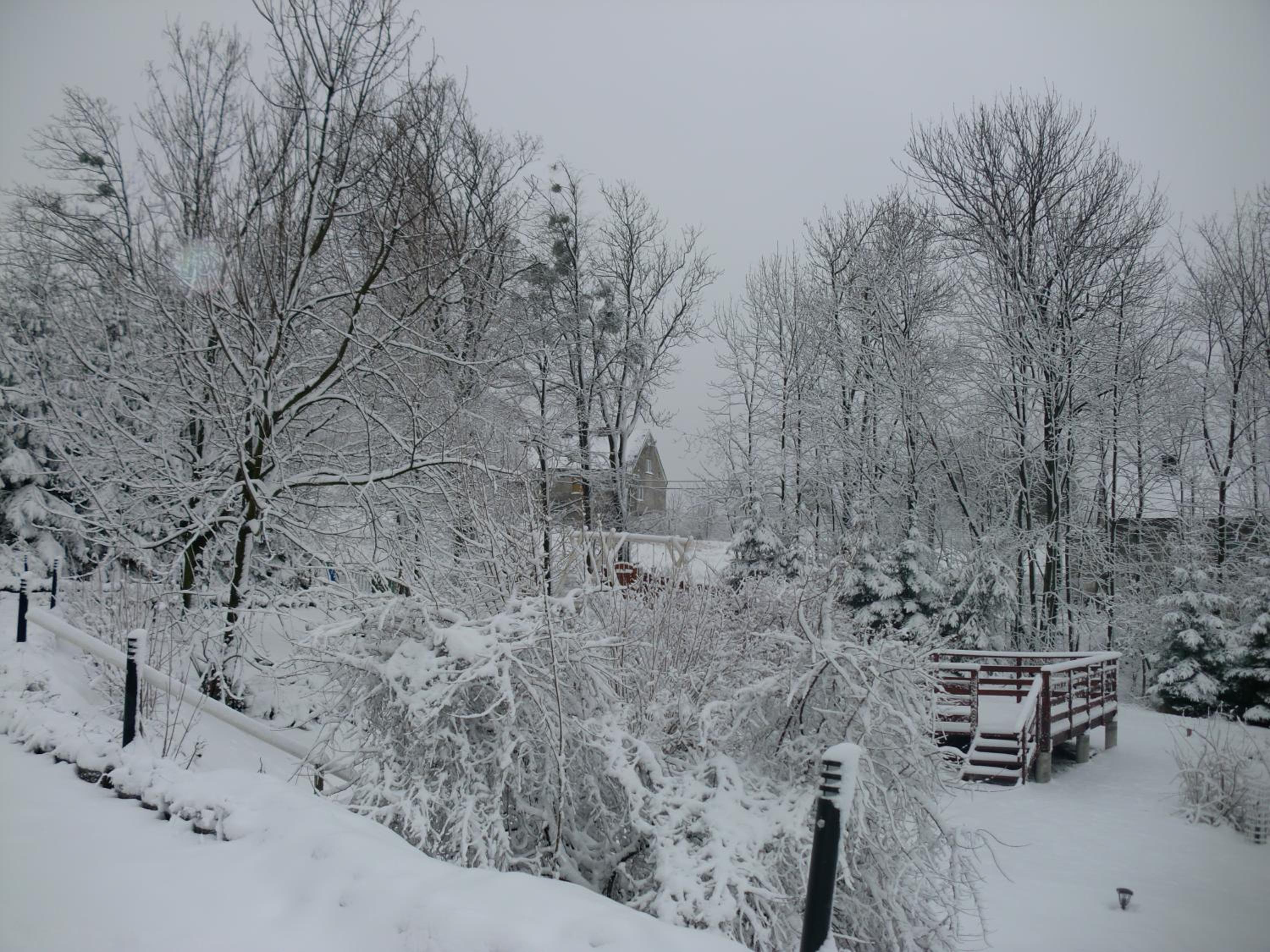 Photo 42