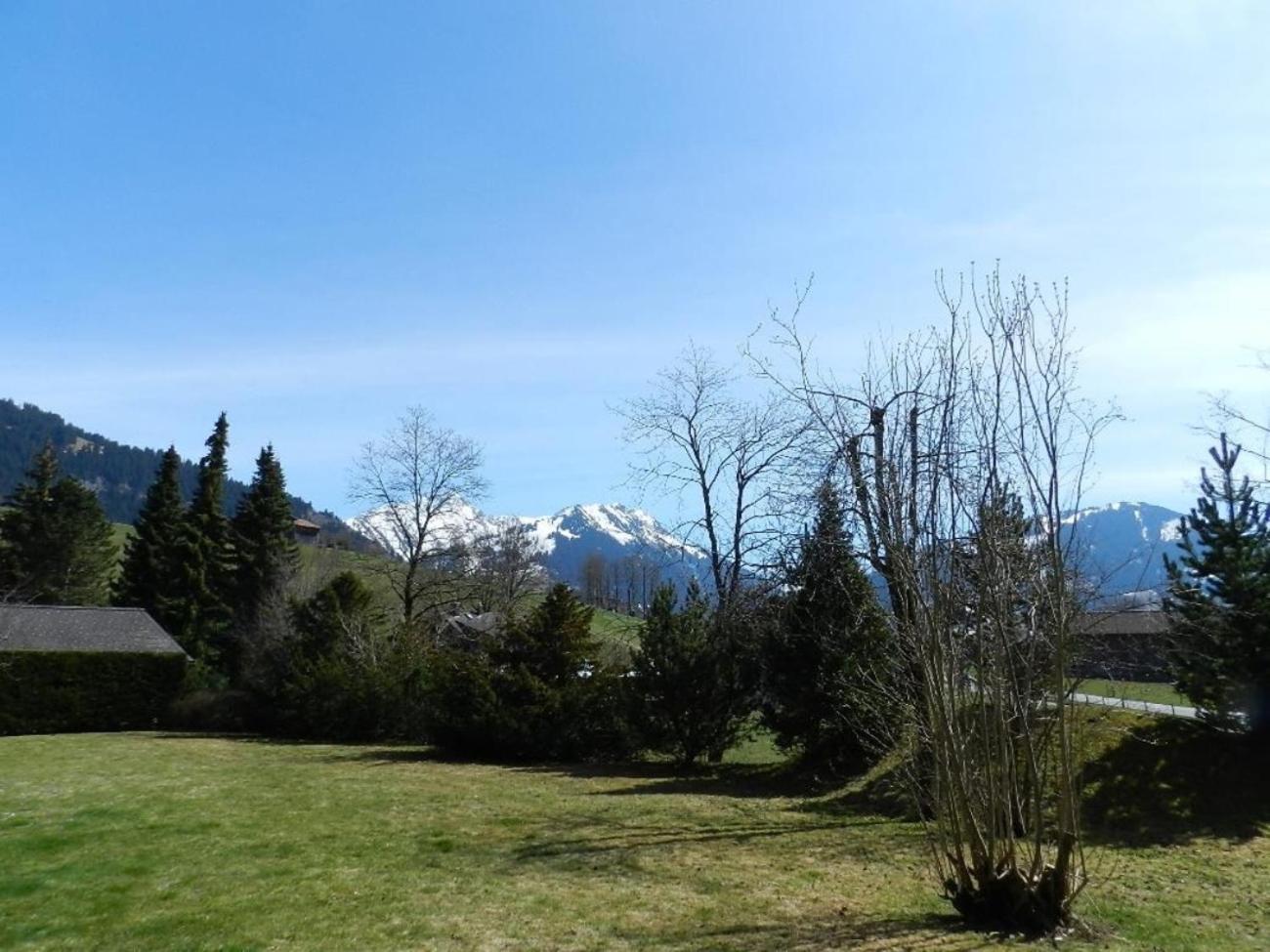 Charly Studio In Gstaad