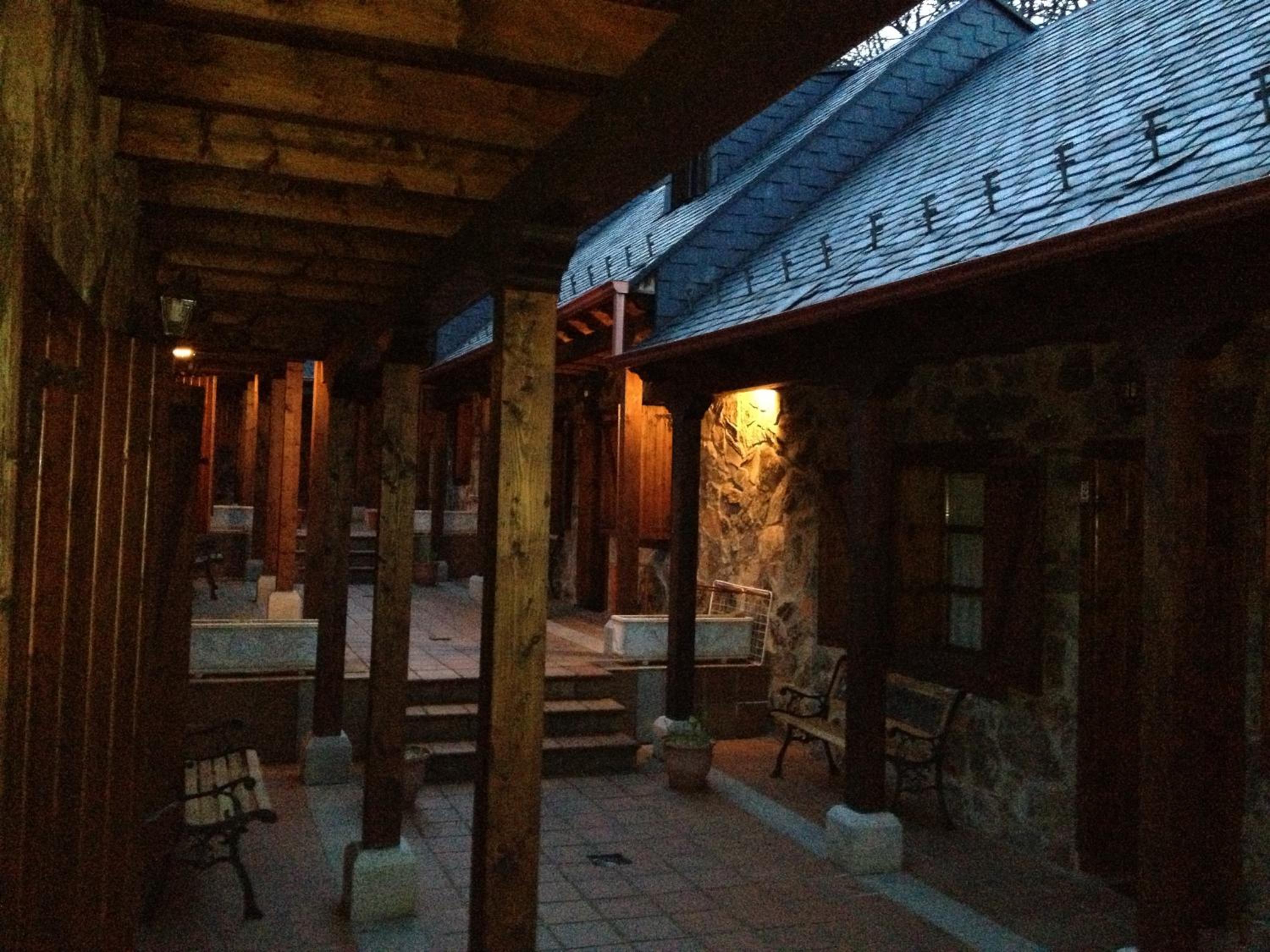 Photo 21
