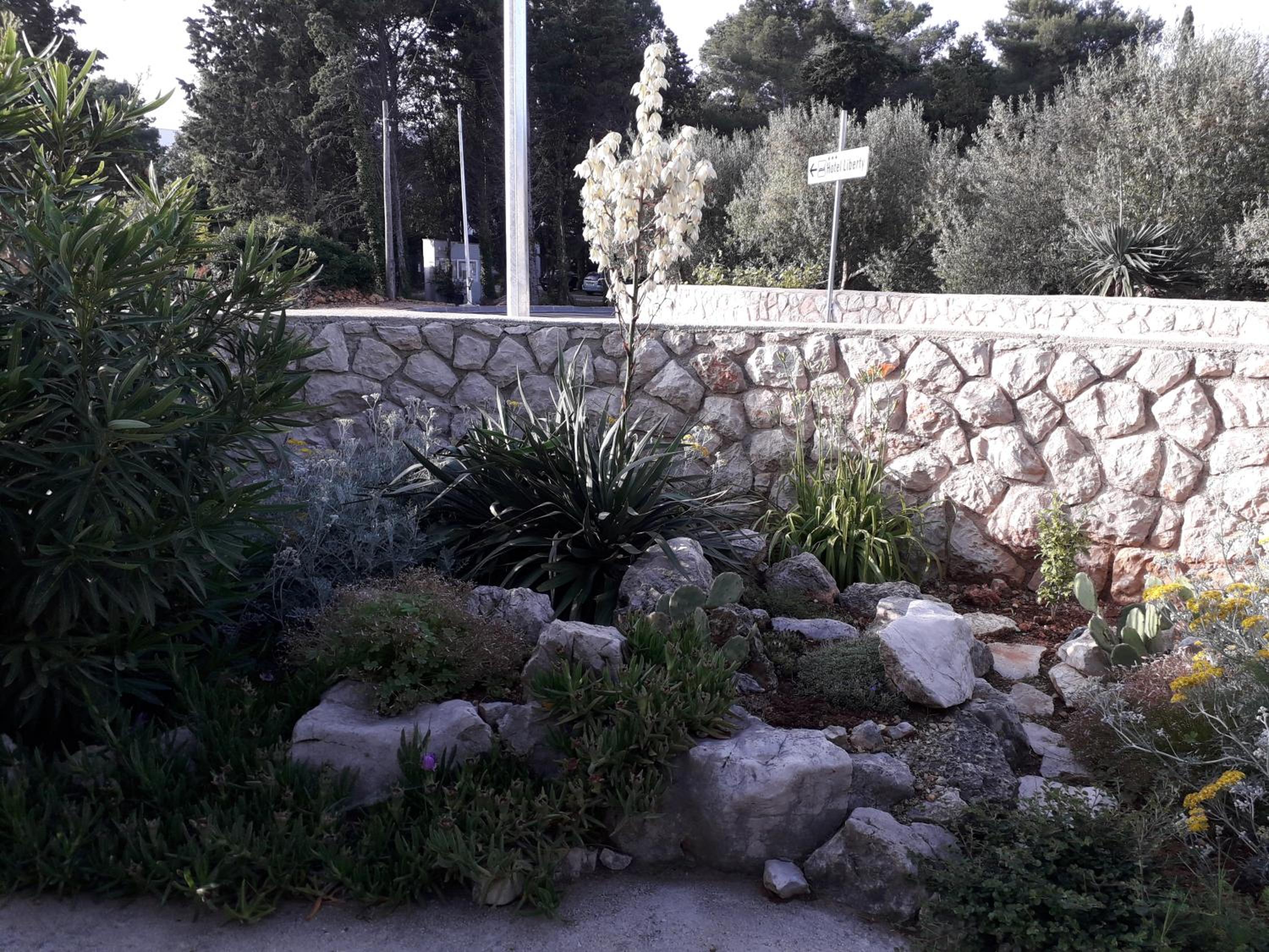 Photo 26