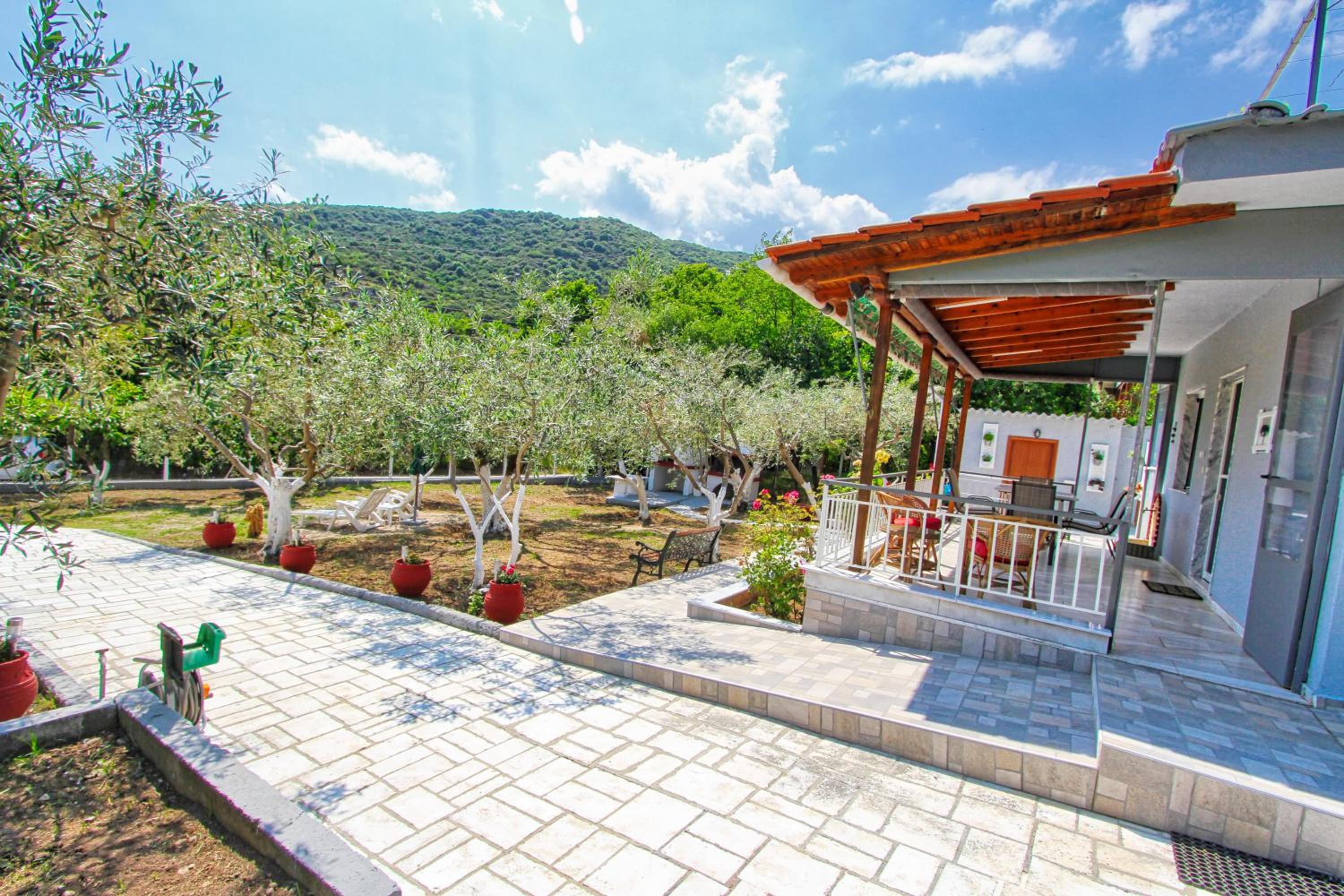 The House of Olive Trees view 3