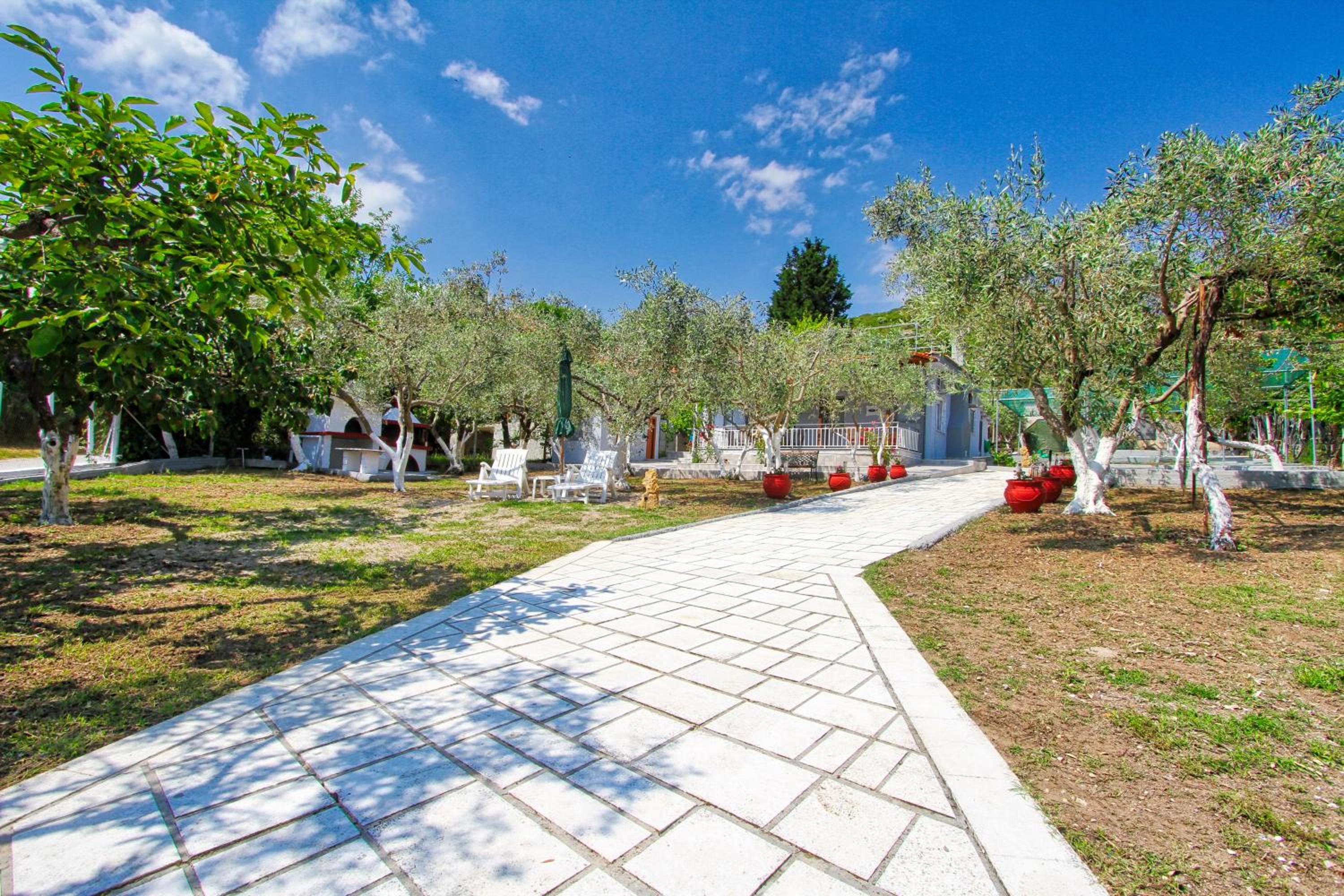 The House of Olive Trees view 2