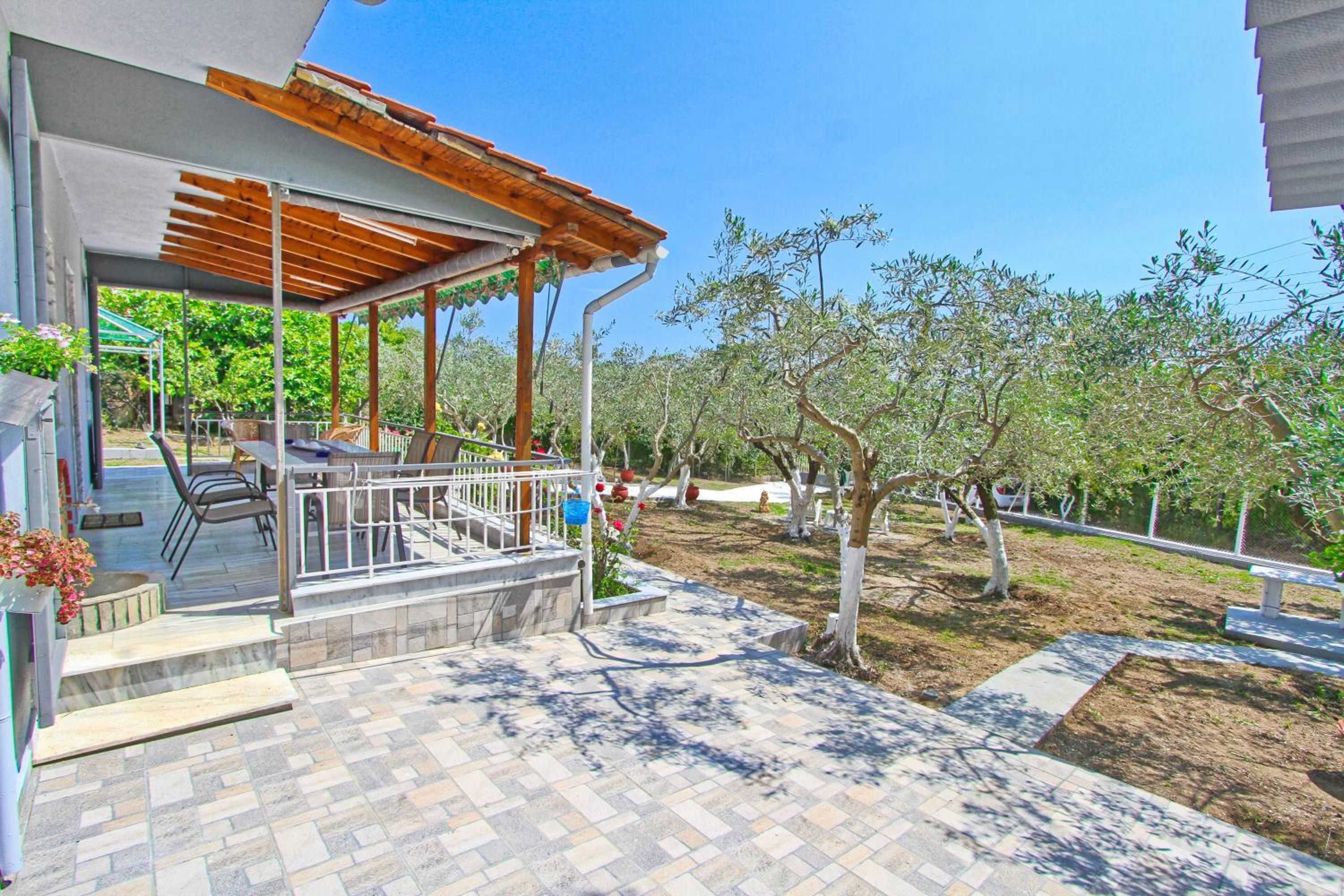The House of Olive Trees view 4