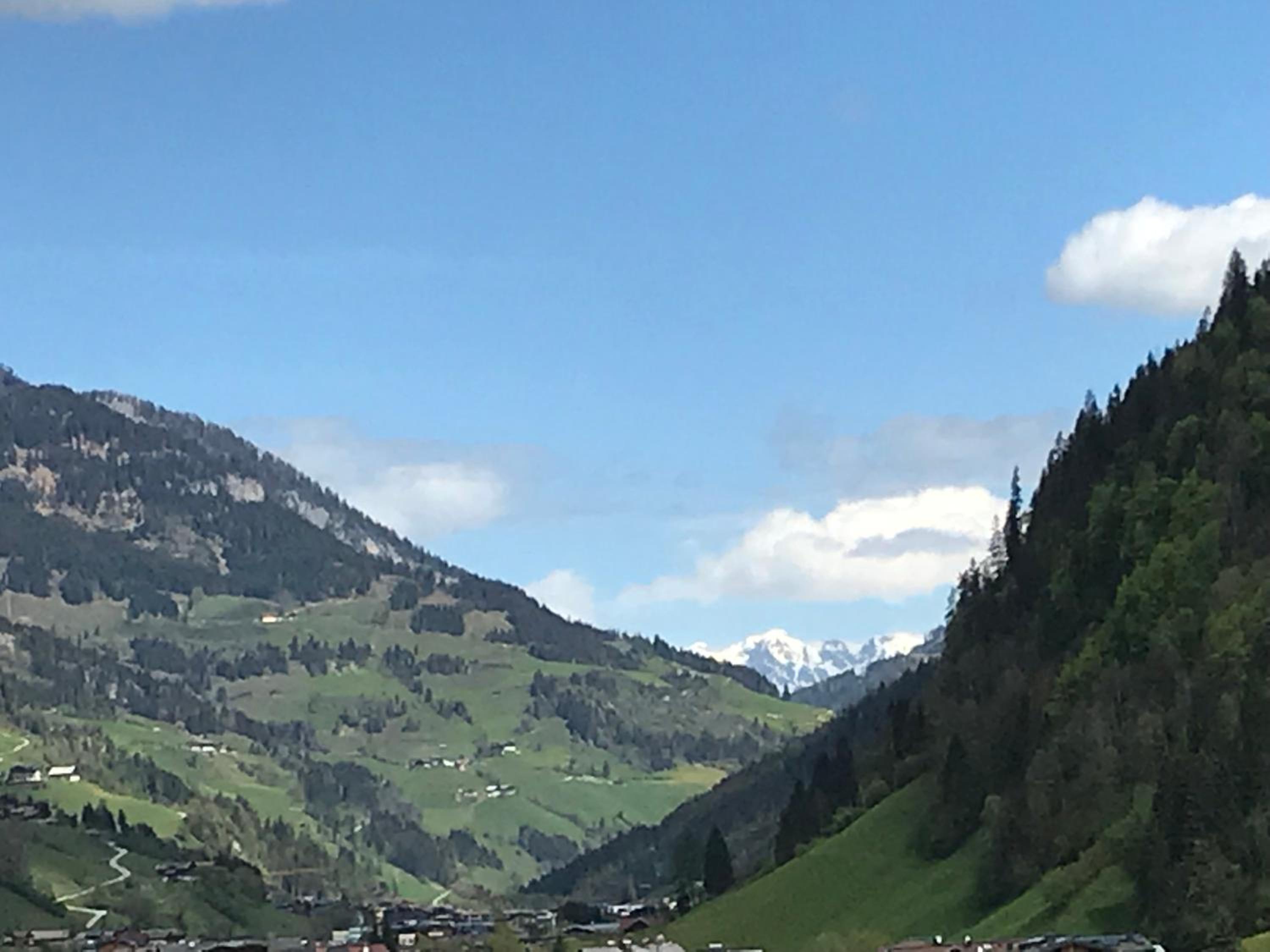 Photo 41