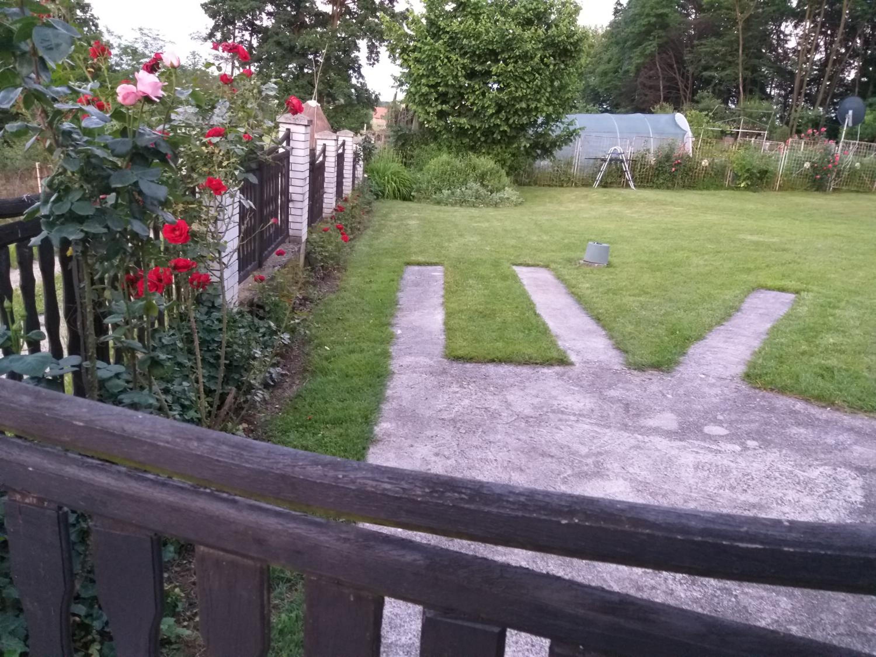 Photo 43