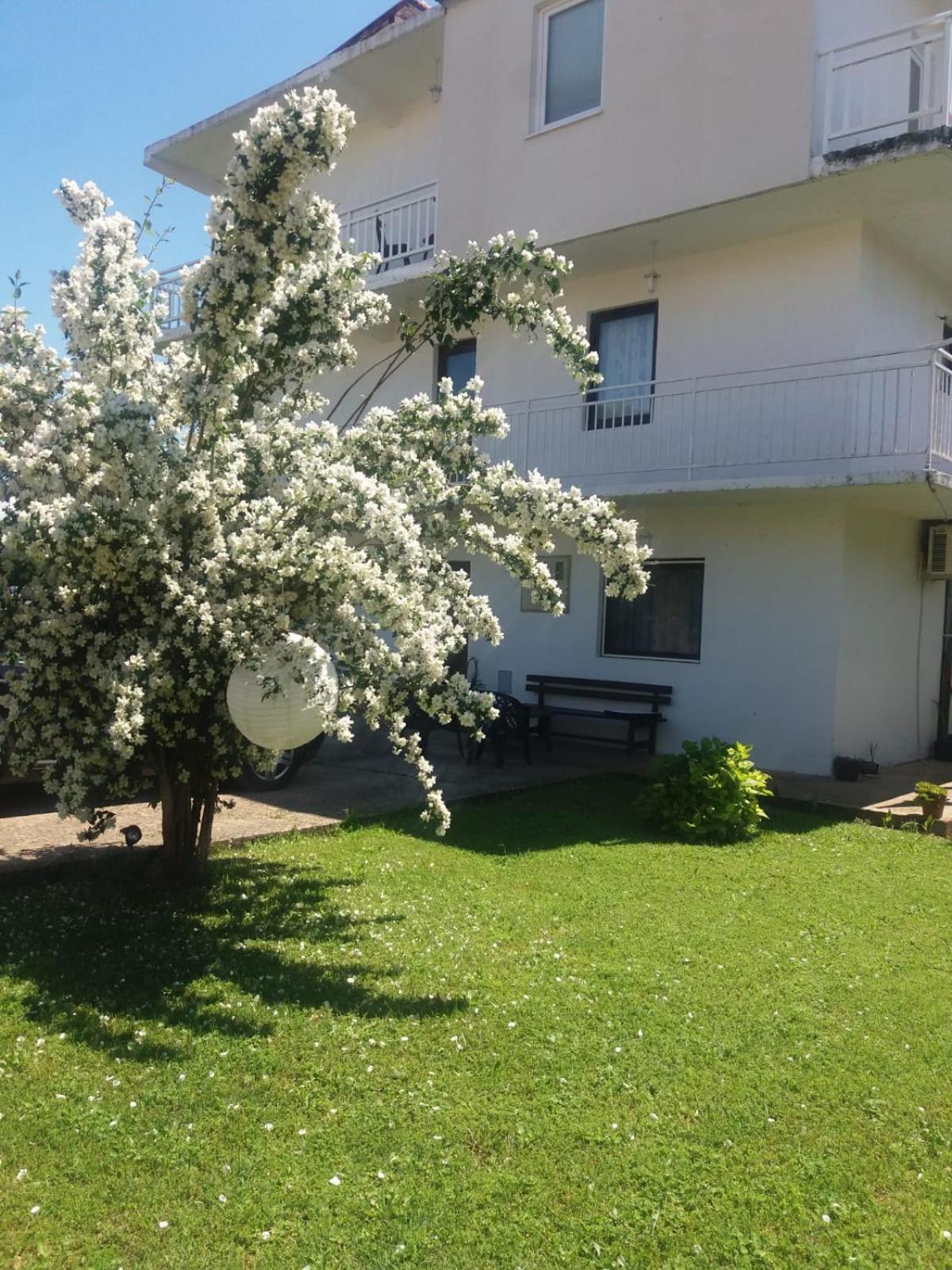 Janja Medjugorje