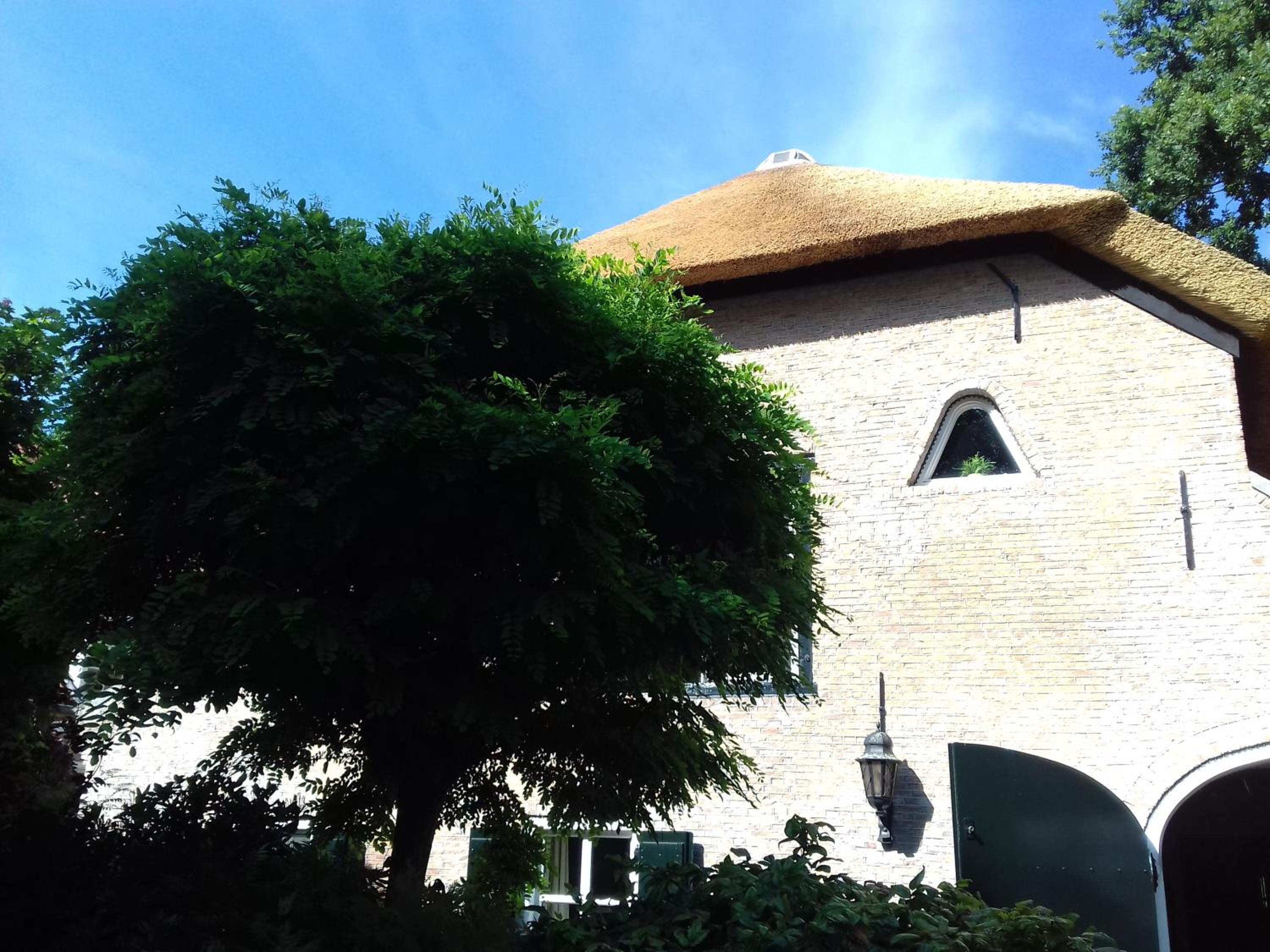 Hotel B & B De Pimpelmees - Image 1