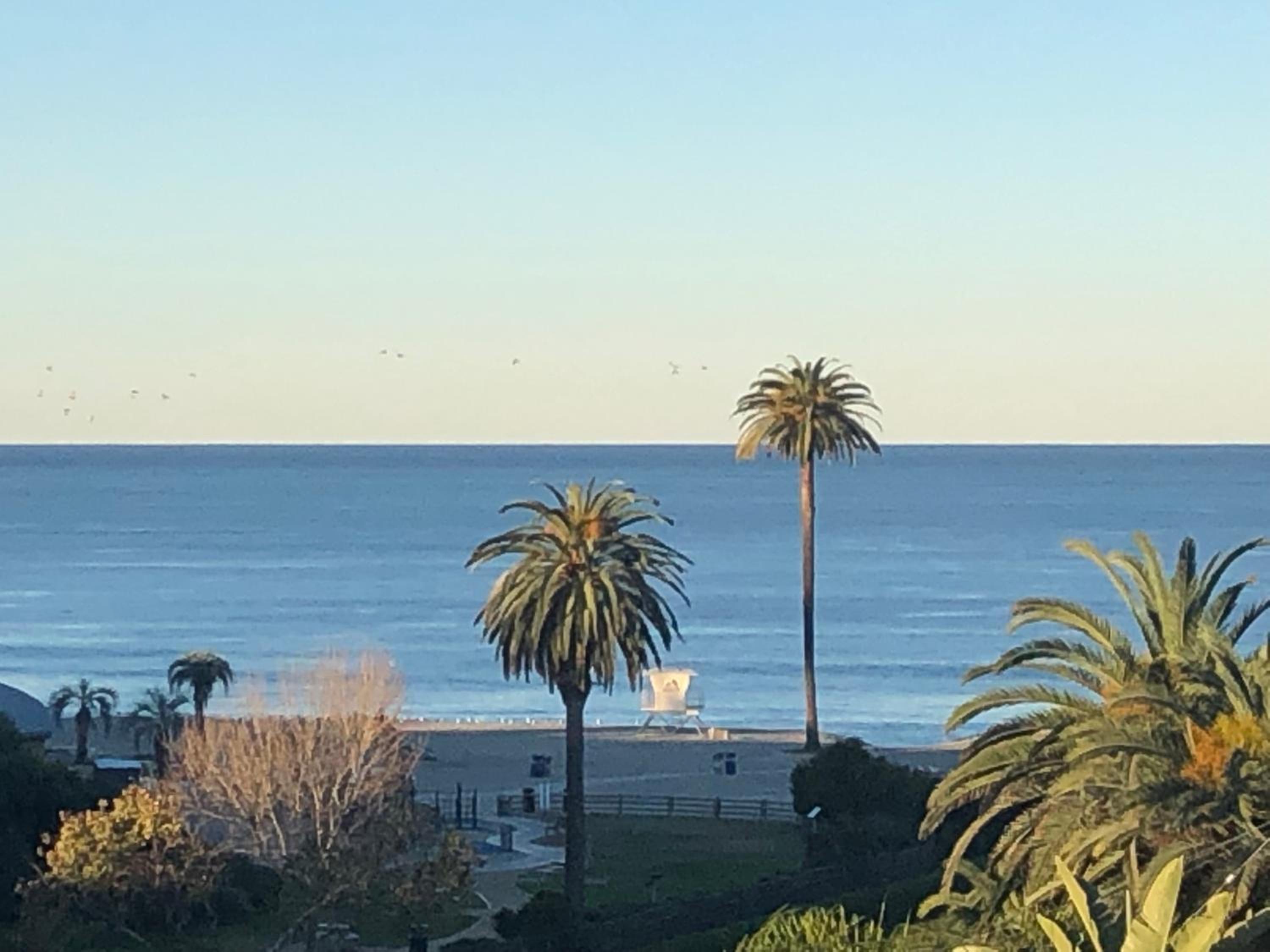 San Jose Vacations - Moonlight Beach Motel - Property Image 1