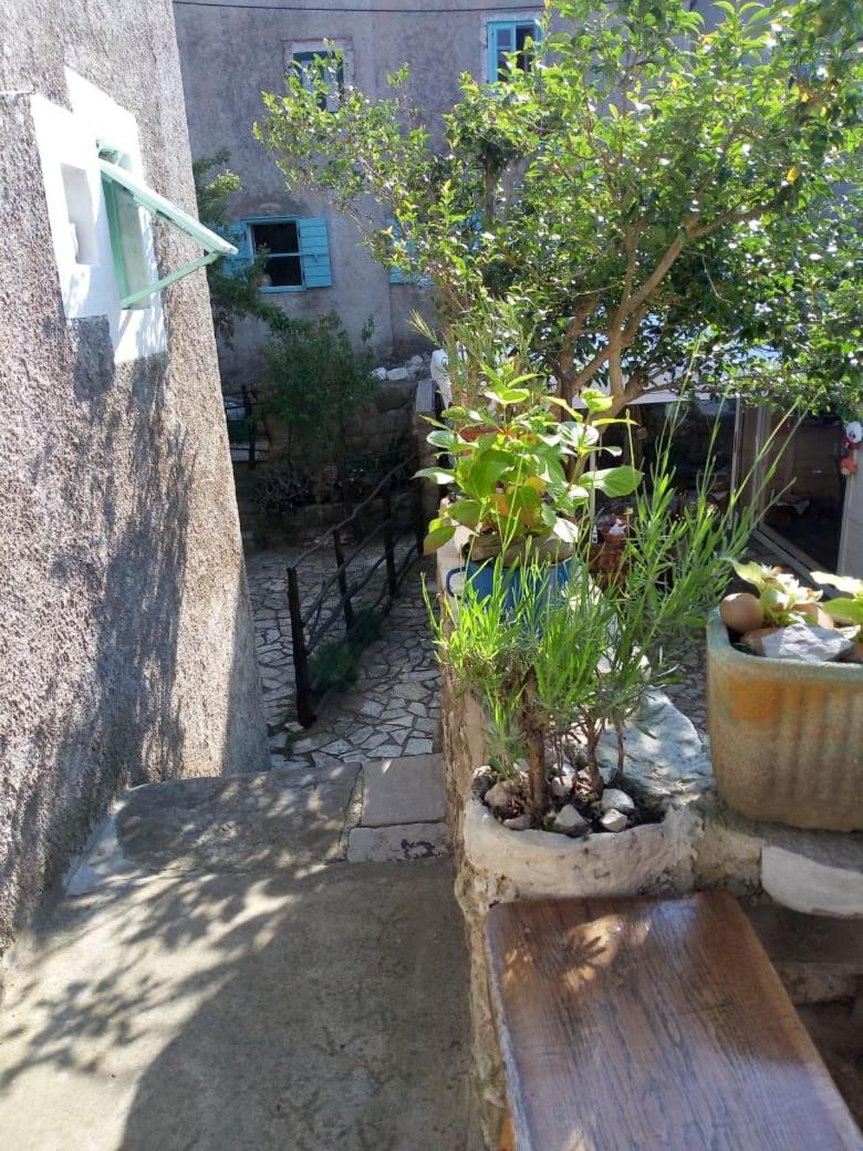 Apartman DINKO