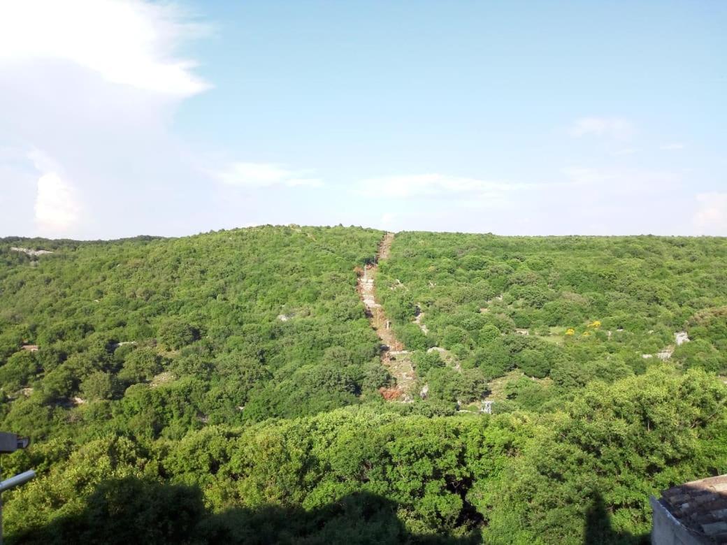 Apartman DINKO
