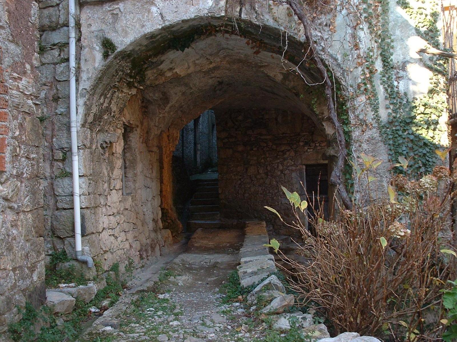 Photo 61