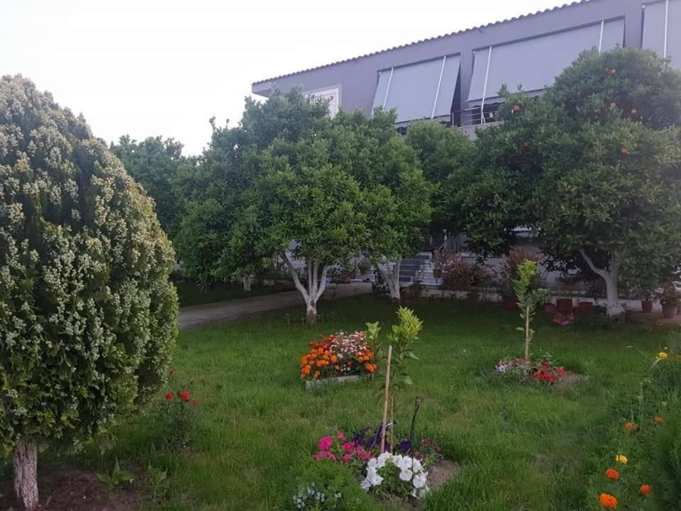 Guesthouse Anila