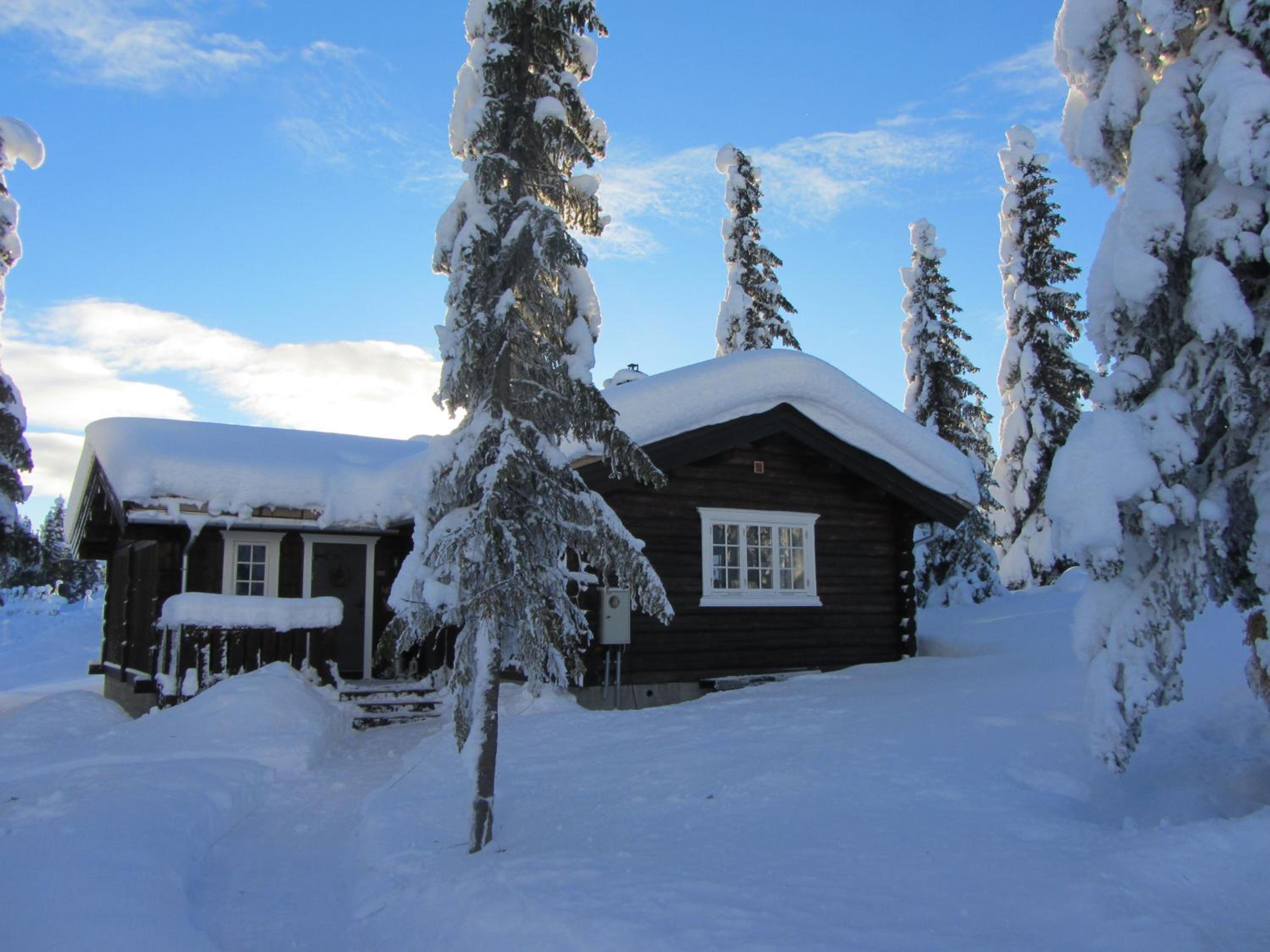 Koselig familiehytte sentralt på Skeikampen til leie view 2