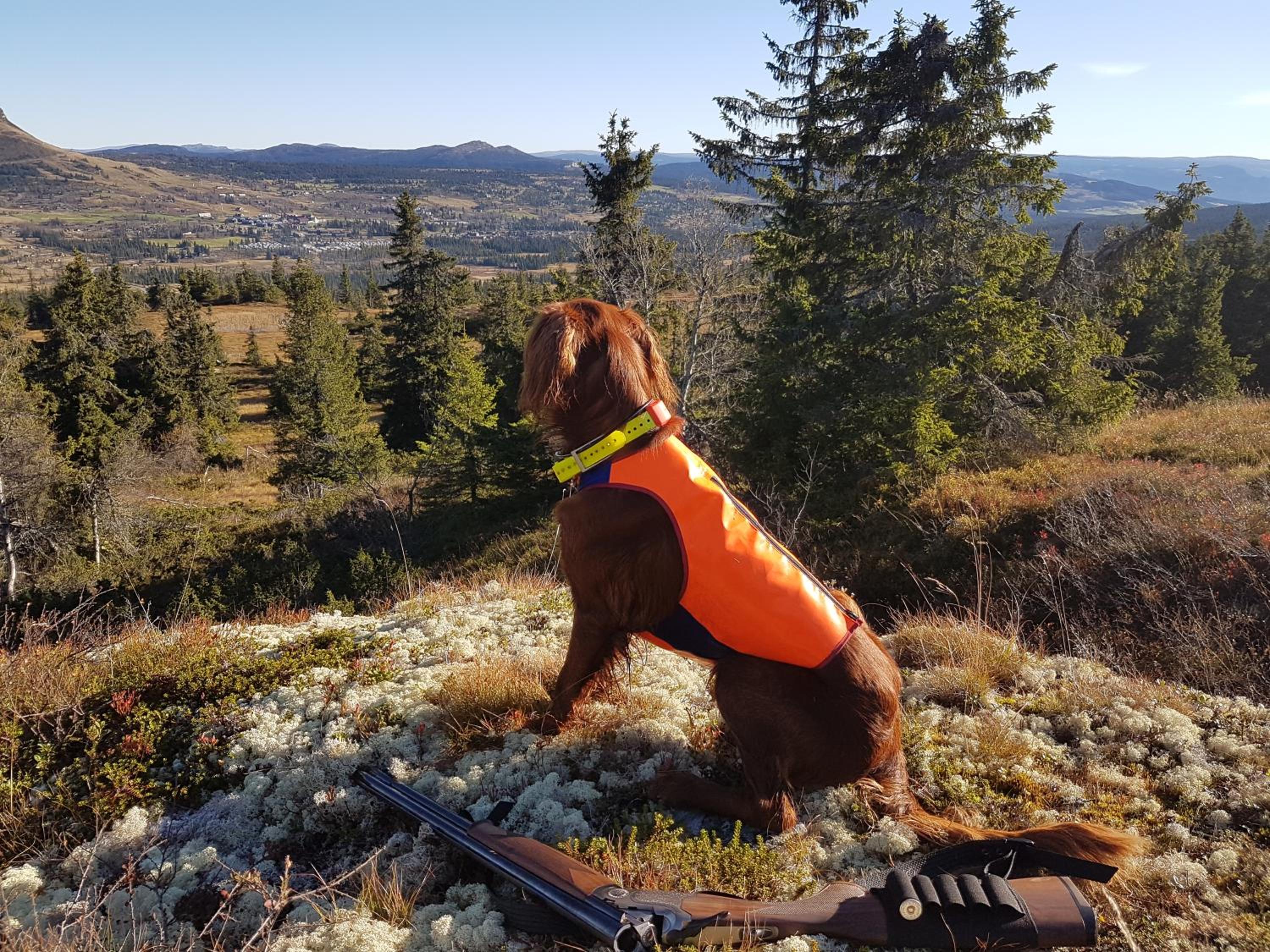 Koselig familiehytte sentralt på Skeikampen til leie view 5