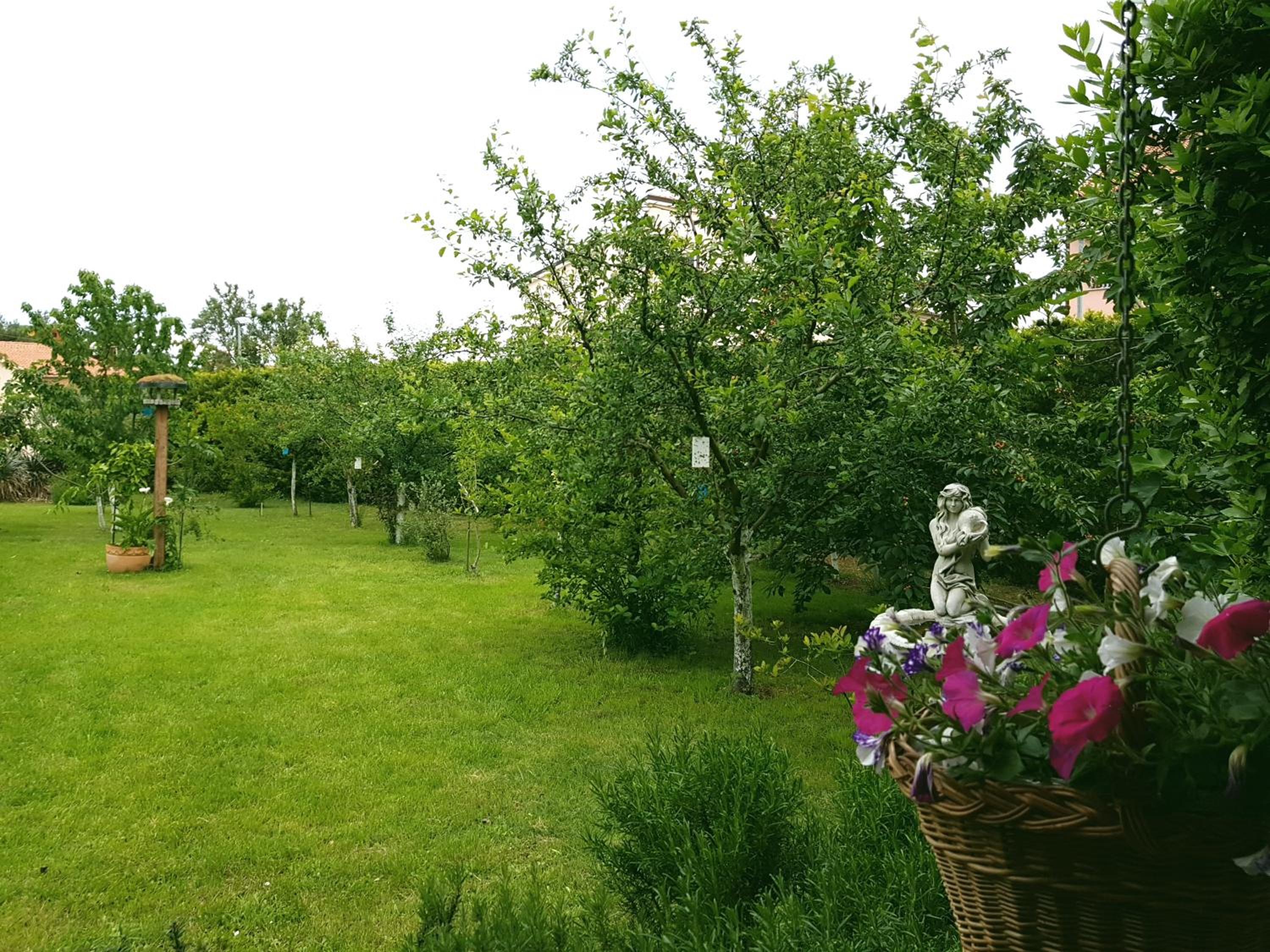 Greenhill view 3