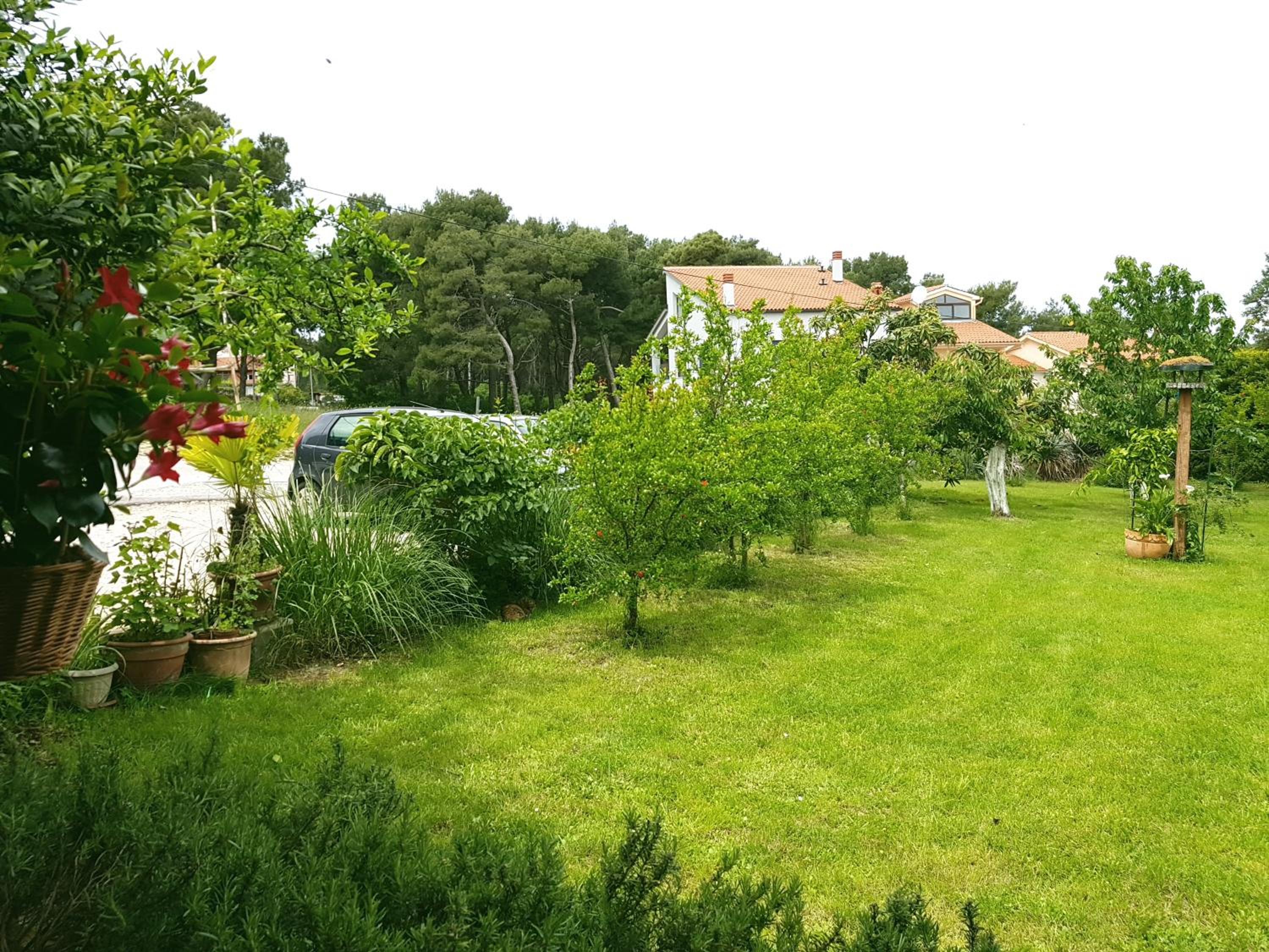 Greenhill view 2