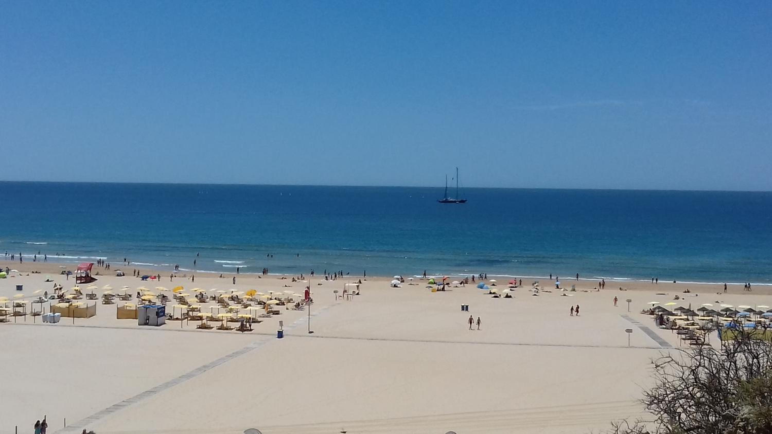 Aqui Rocha