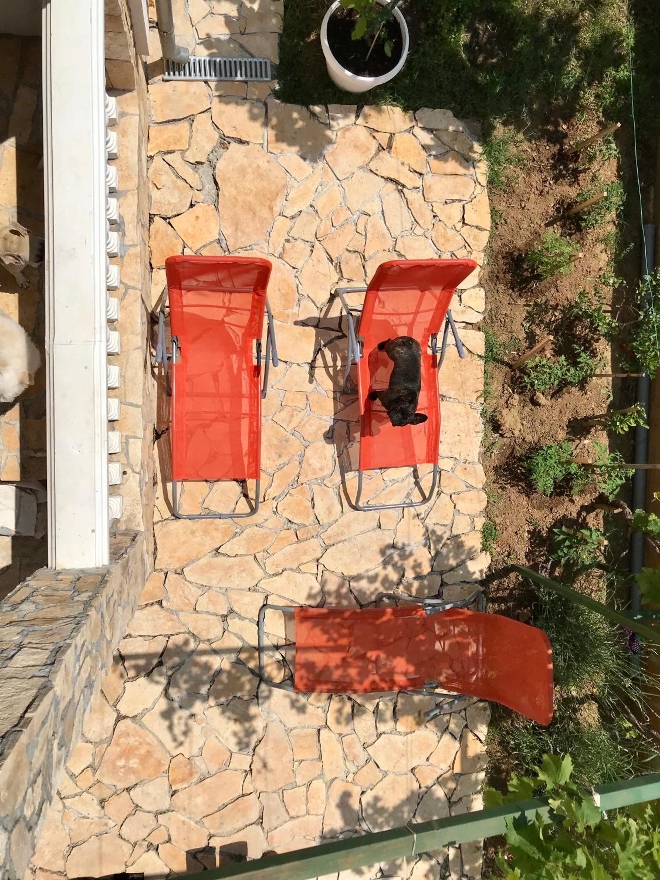 Photo 22