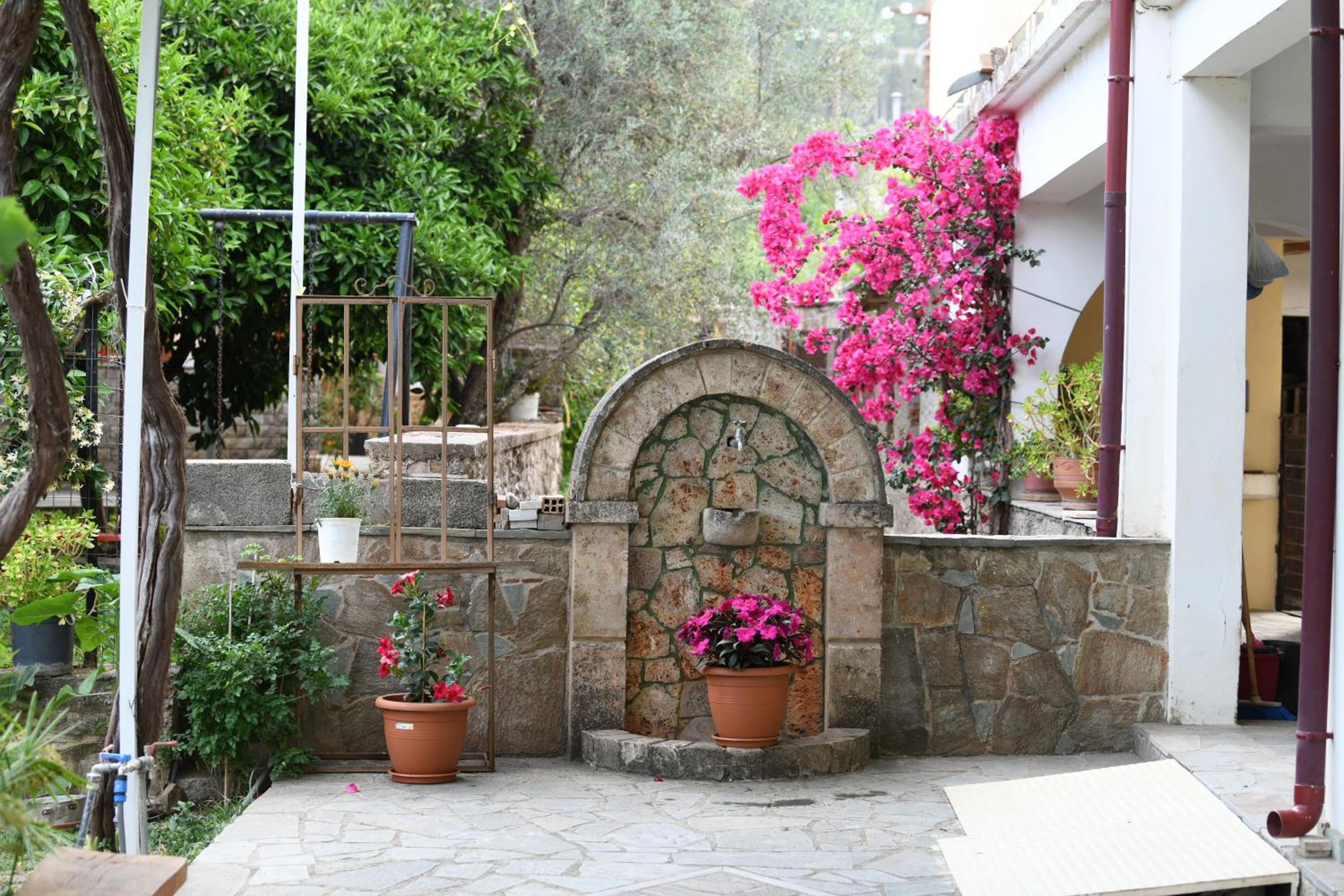 Photo 14