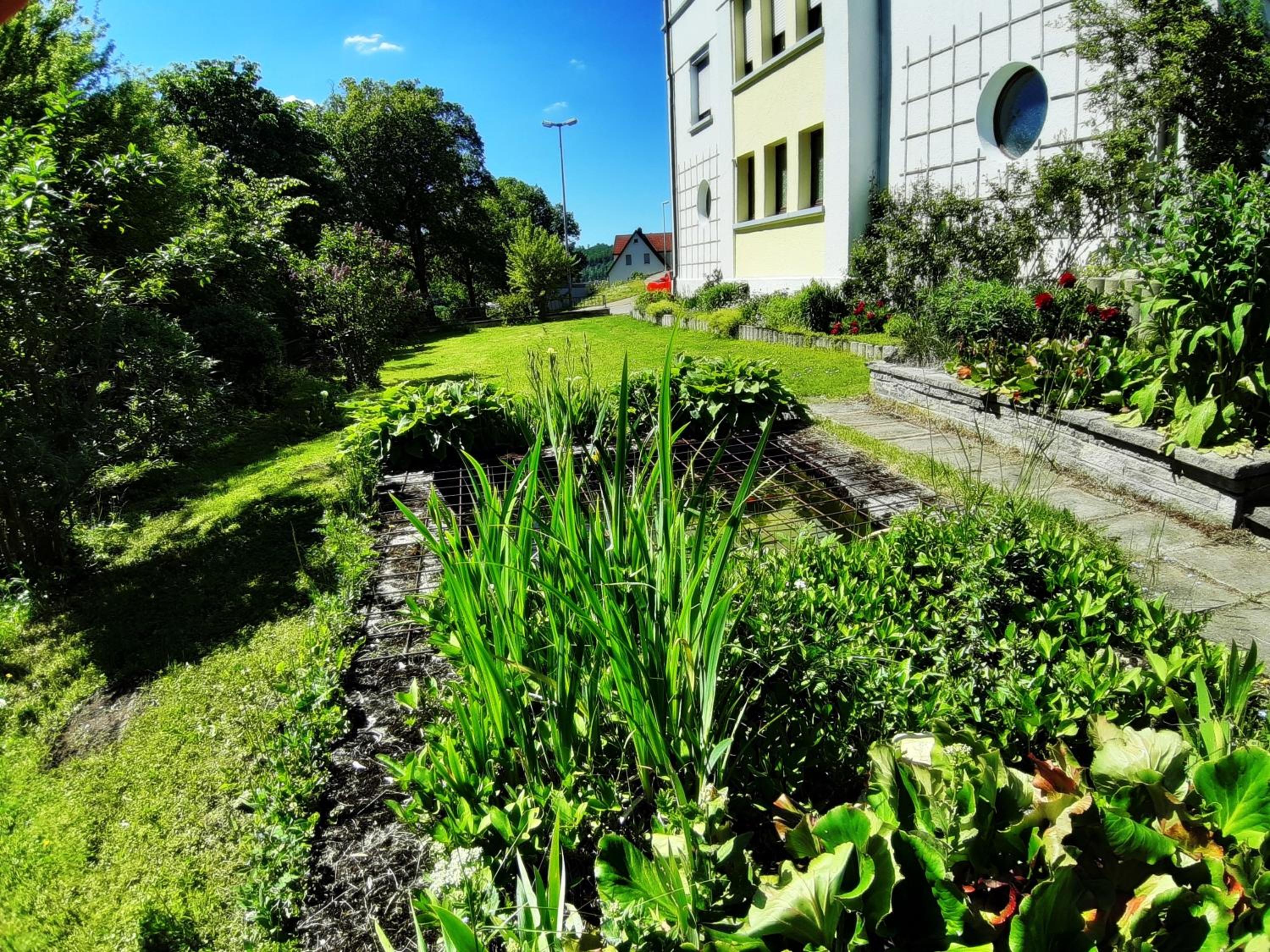 Photo 10