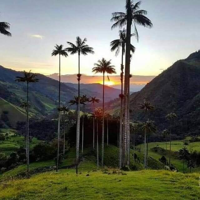 Hospedaje El Buen Descanso