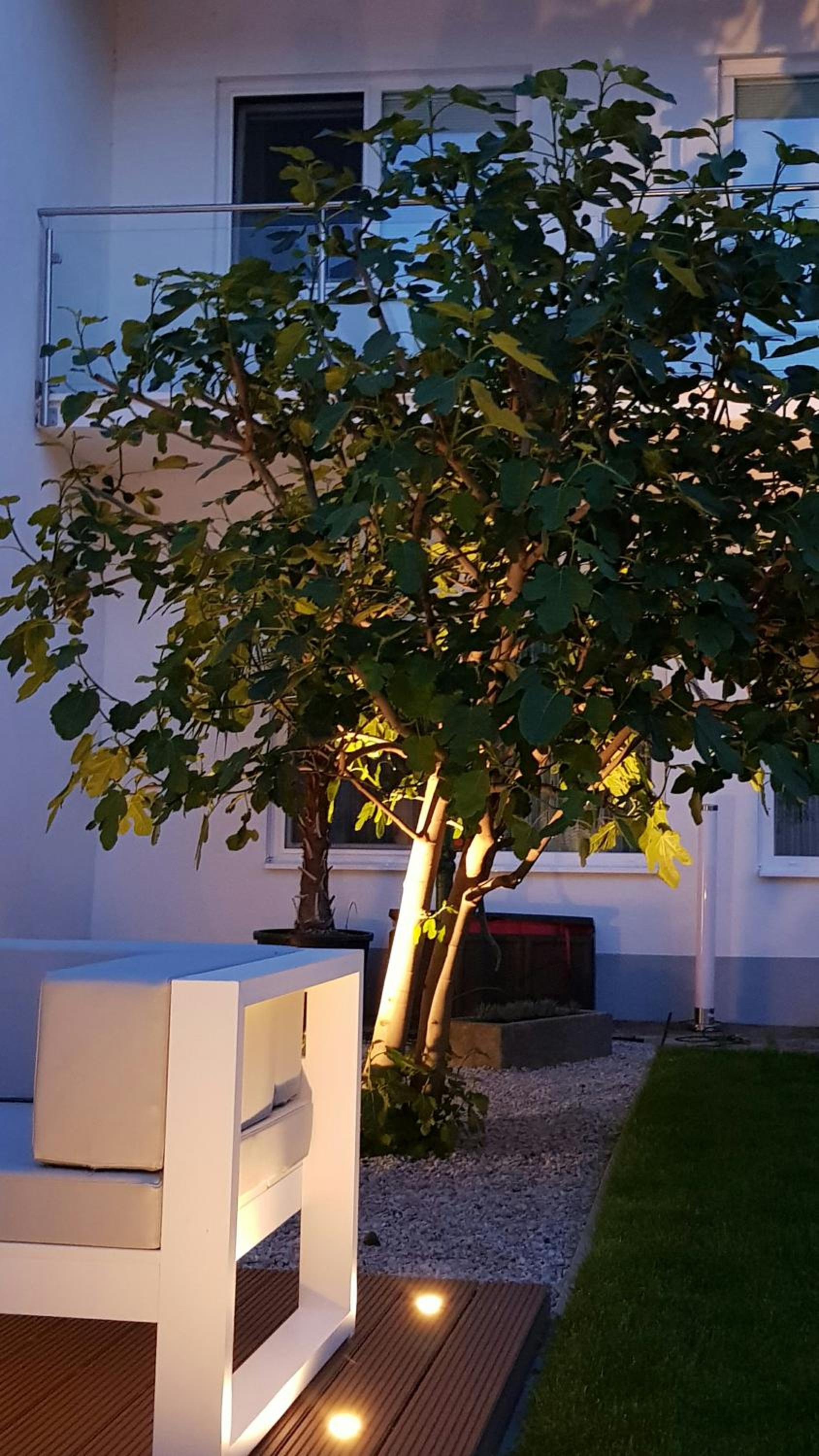 Seesuiten Mörbisch
