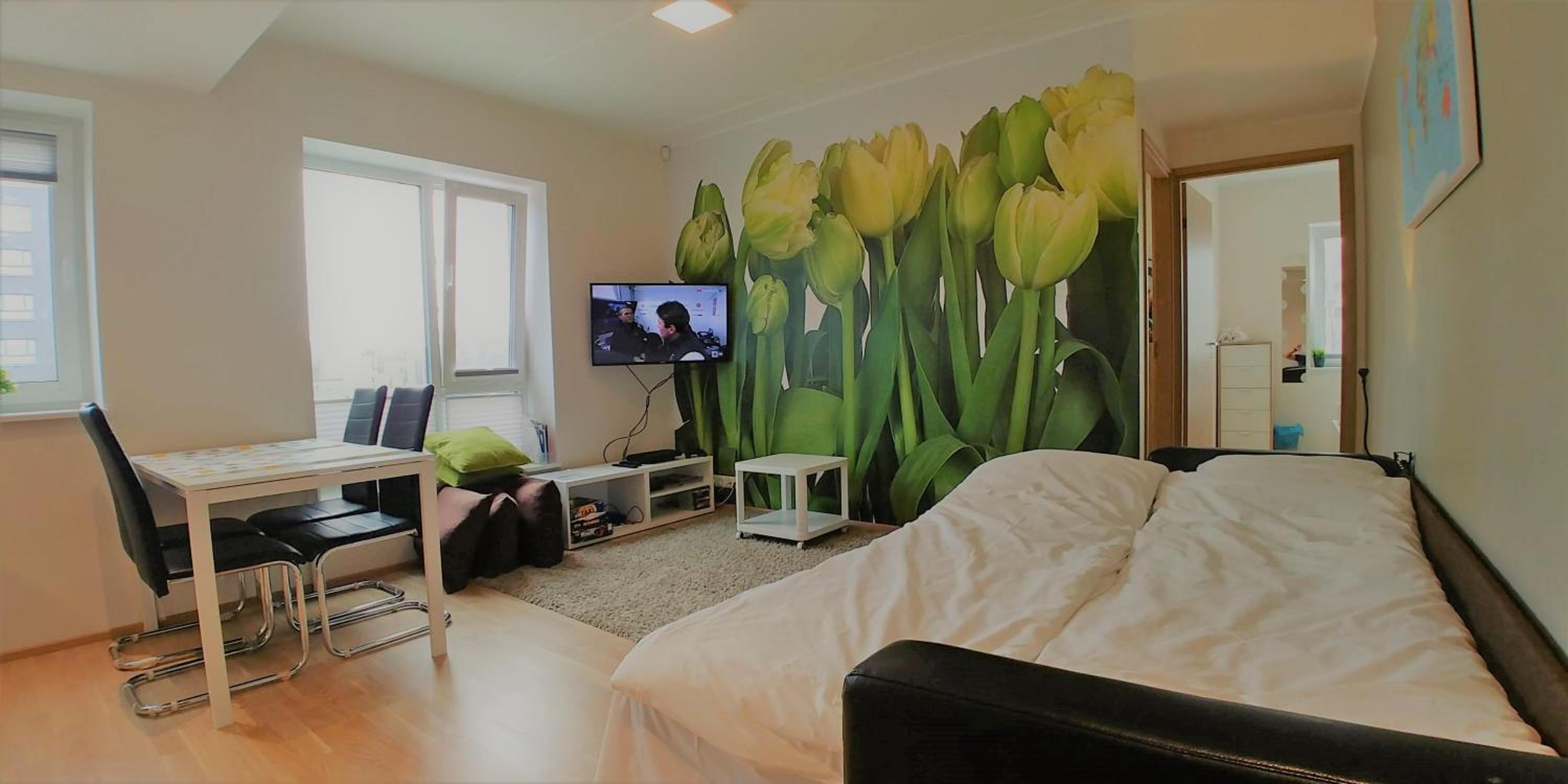 Scandian Apartments - City Park Tallinn view 4