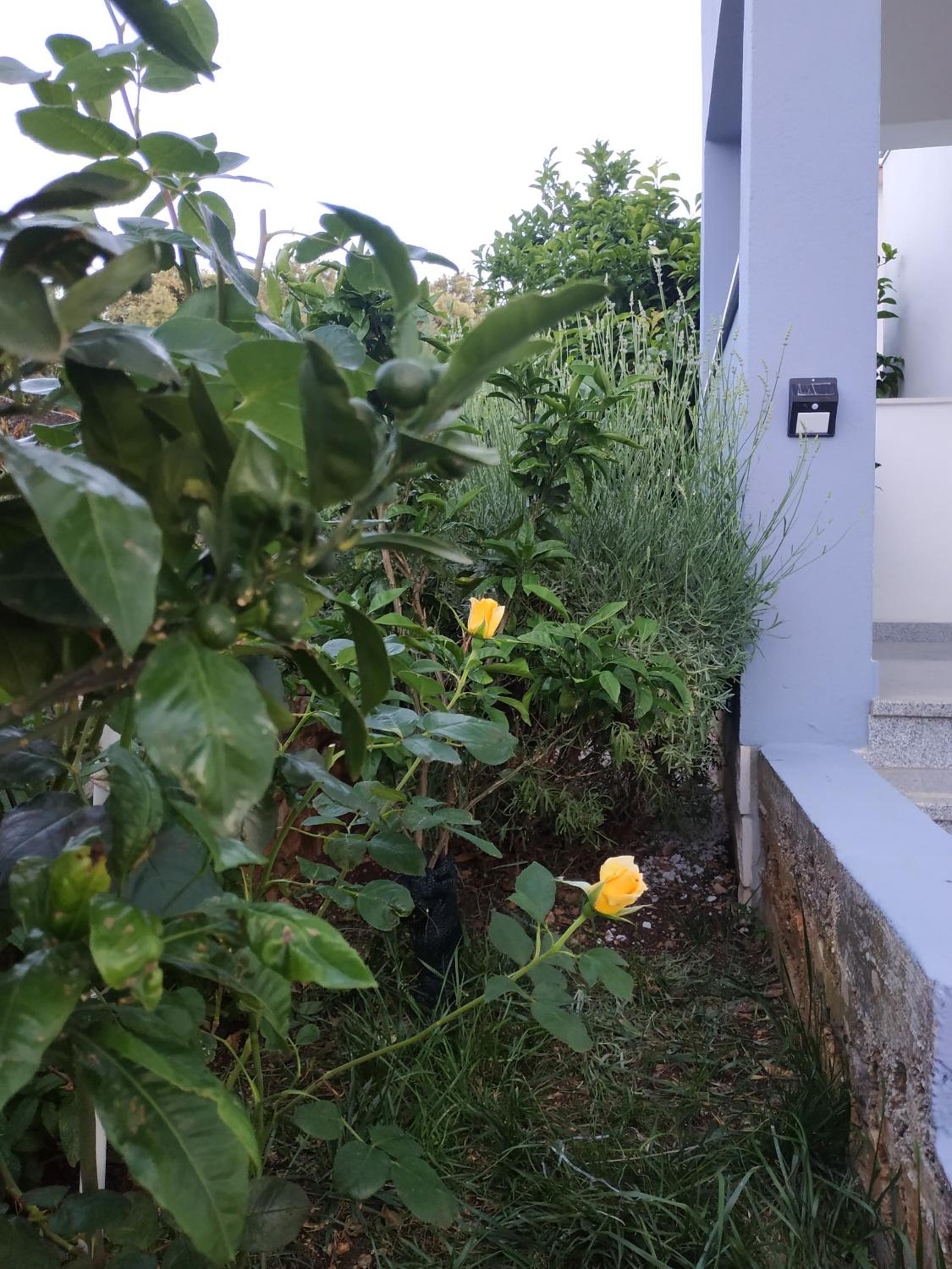Photo 47