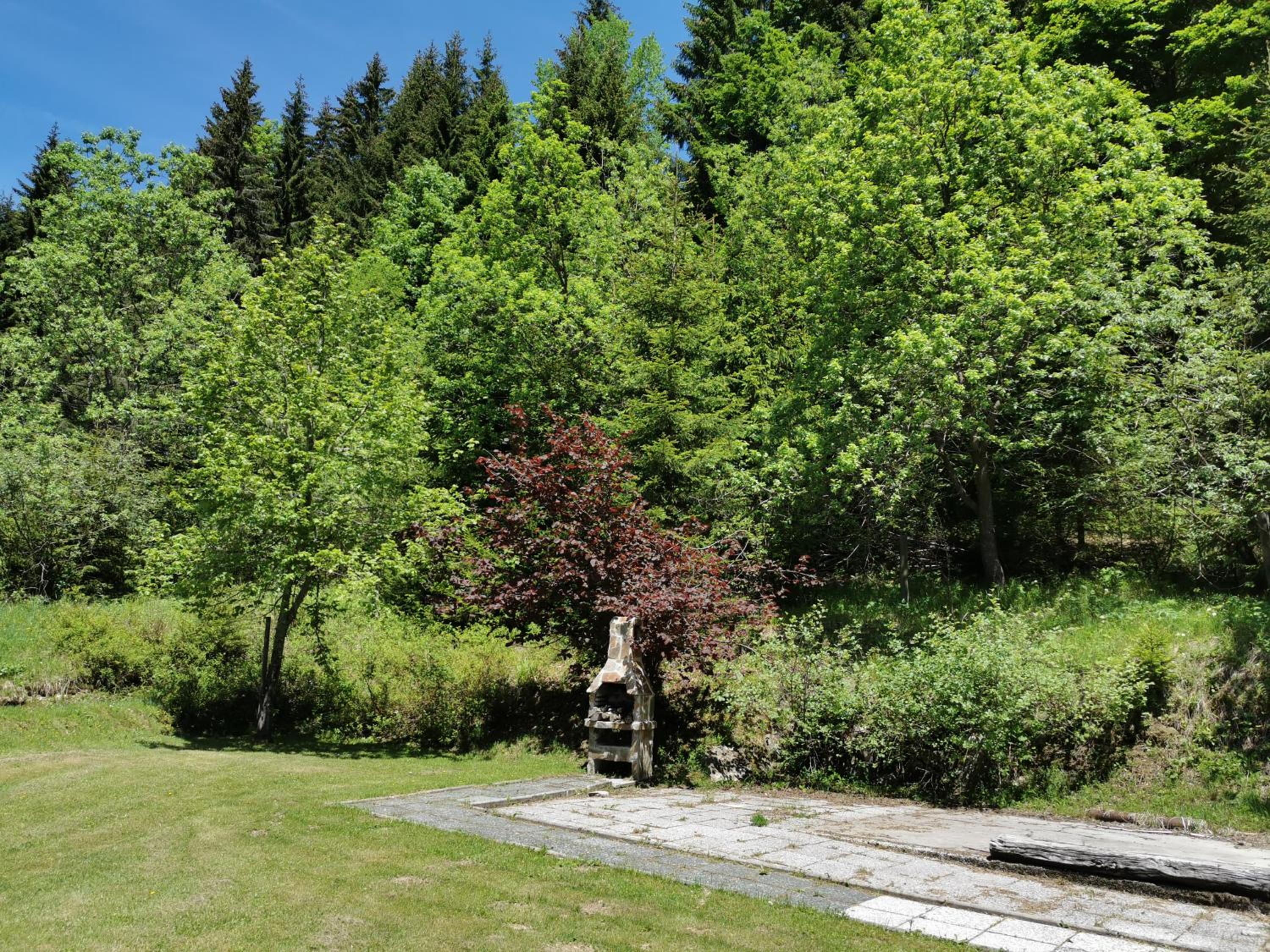 Photo 46
